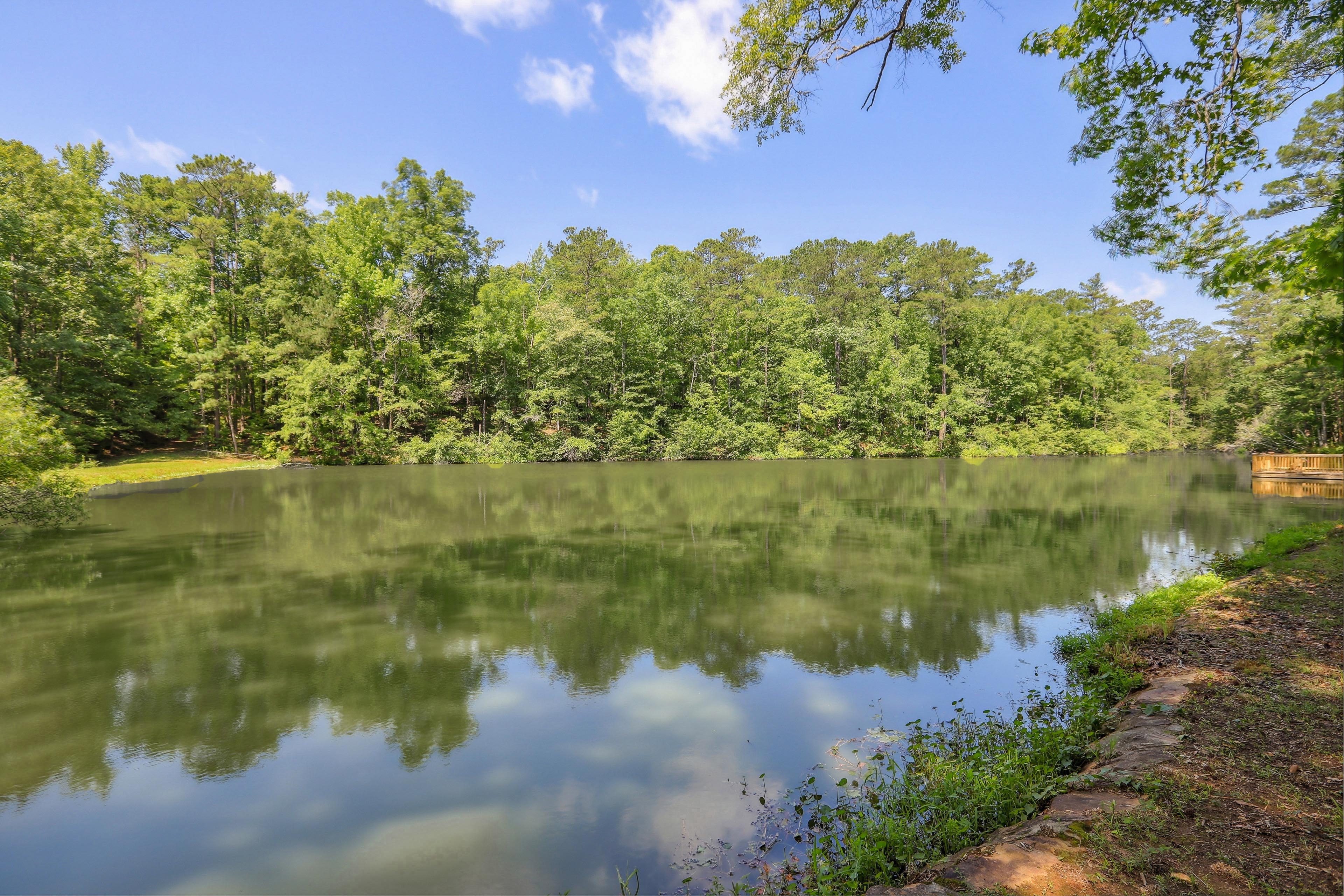 Property Image 2 - Lakefront Hamilton Cabin w/ Dock & Fire Pit!