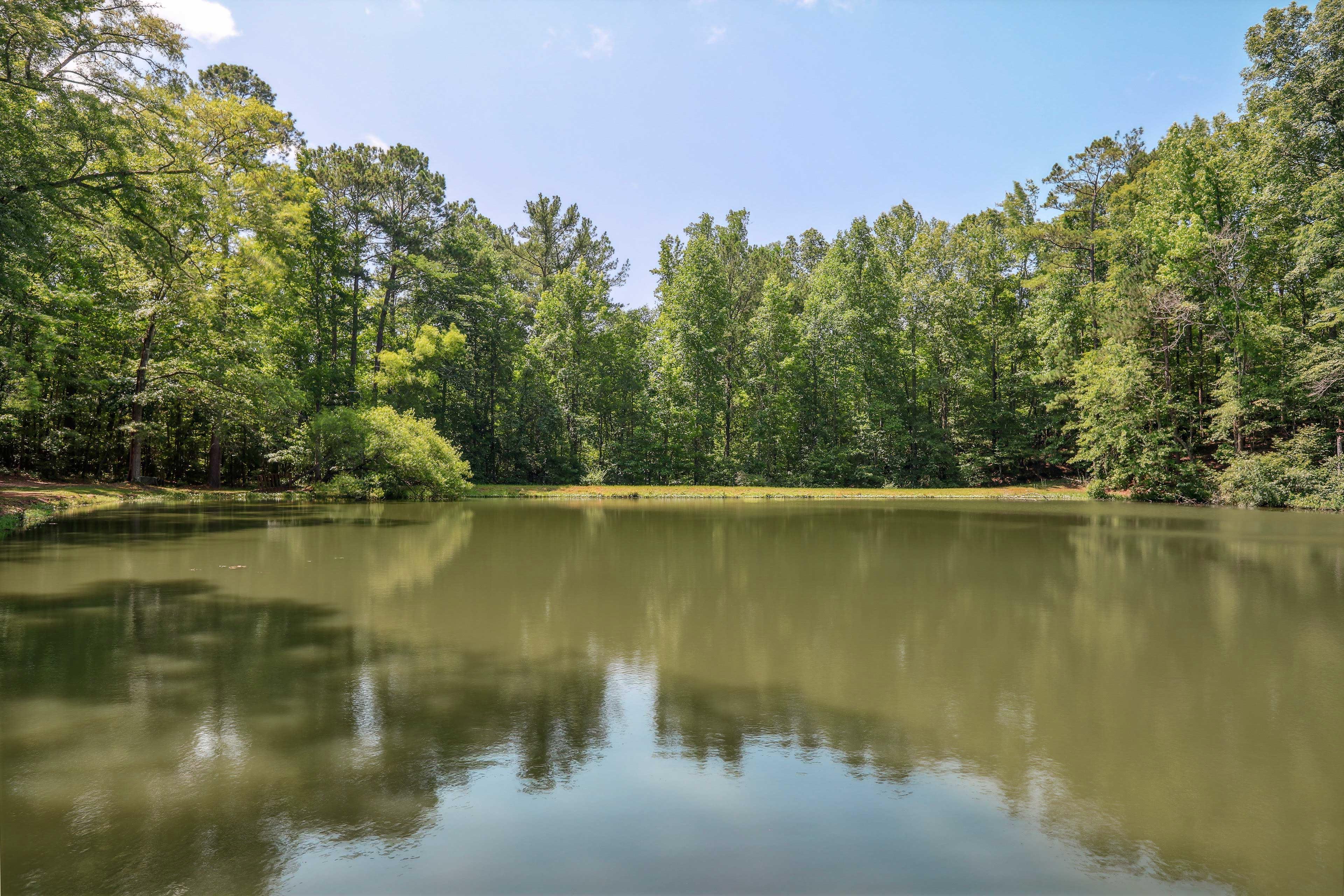 Property Image 1 - Lakefront Hamilton Cabin w/ Dock & Fire Pit!