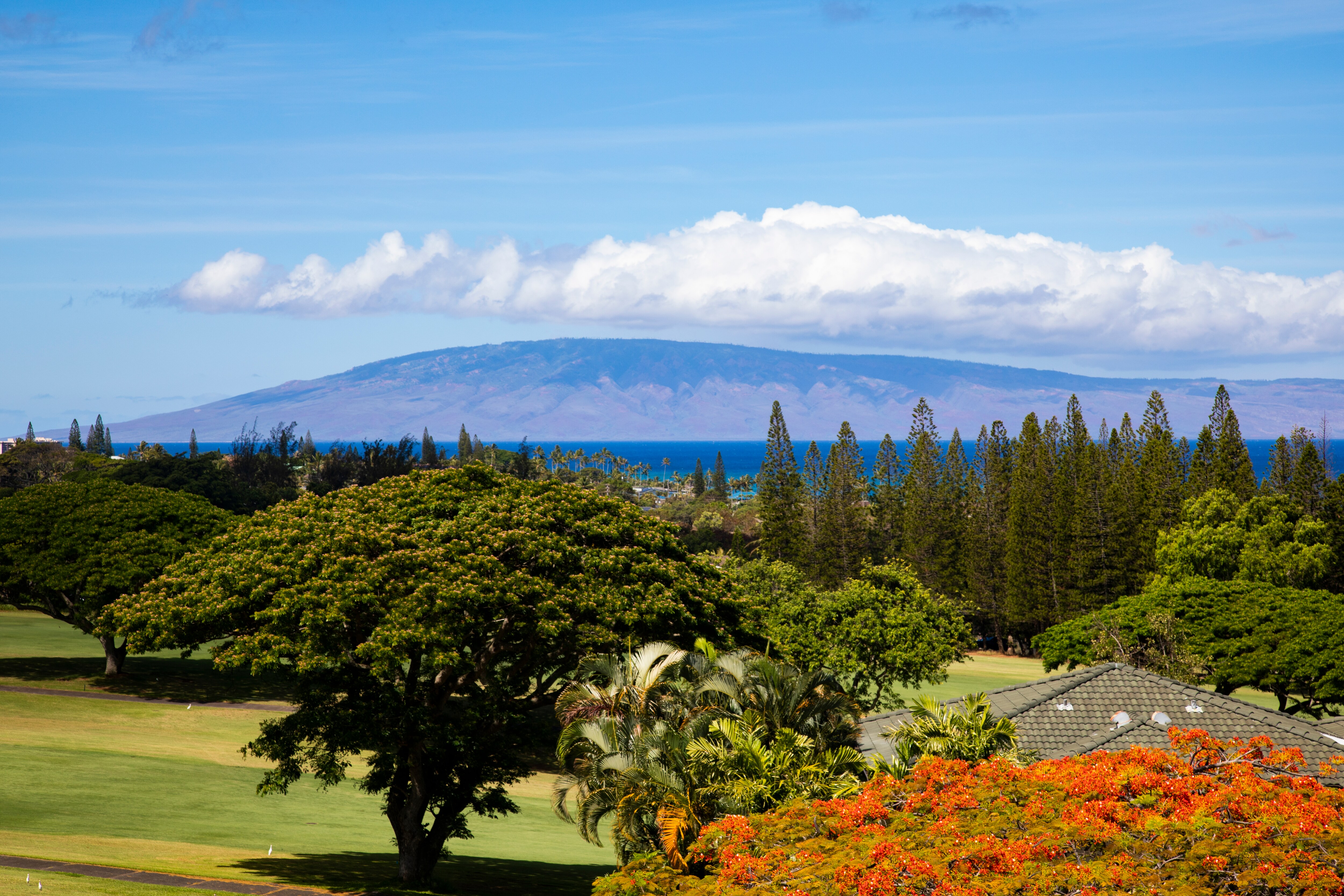 Property Image 1 - Kapalua Golf Villa KGV-20T8 Custom Remodeled 1 Bedroom villa with captivating ocean views, Includes Rental