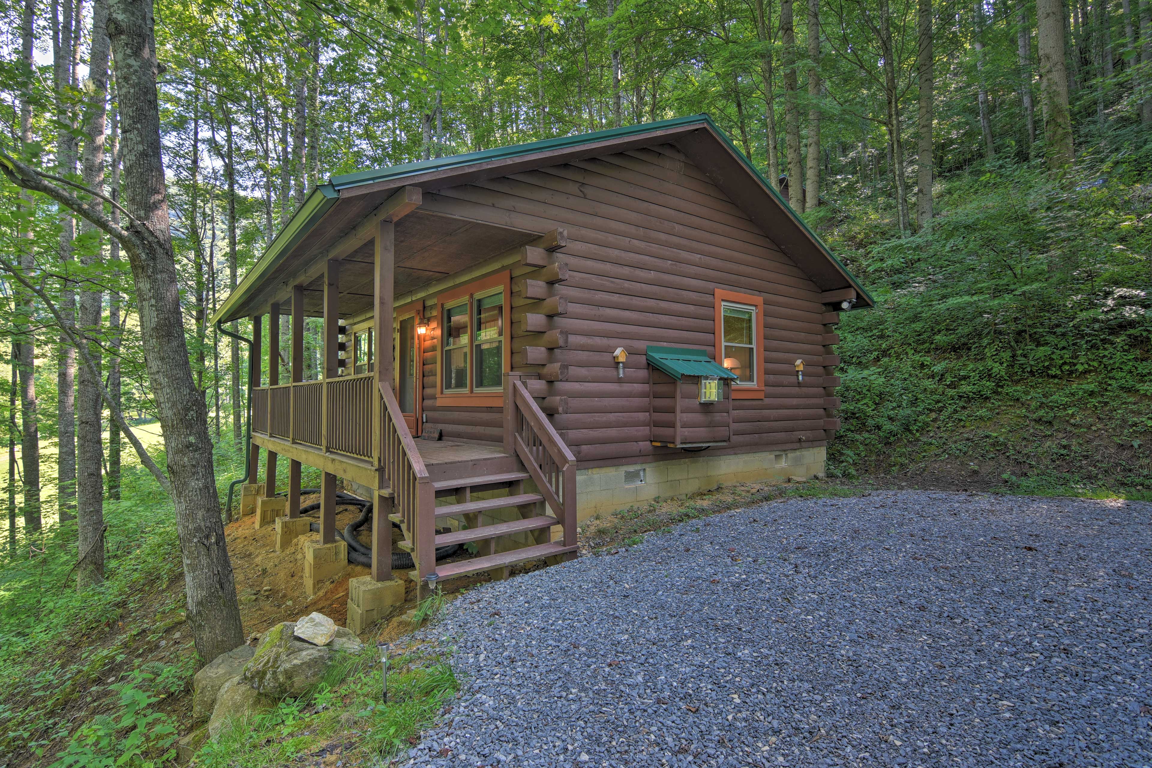 Property Image 2 - Clyde Cabin: Surrounded by Smoky Mtns