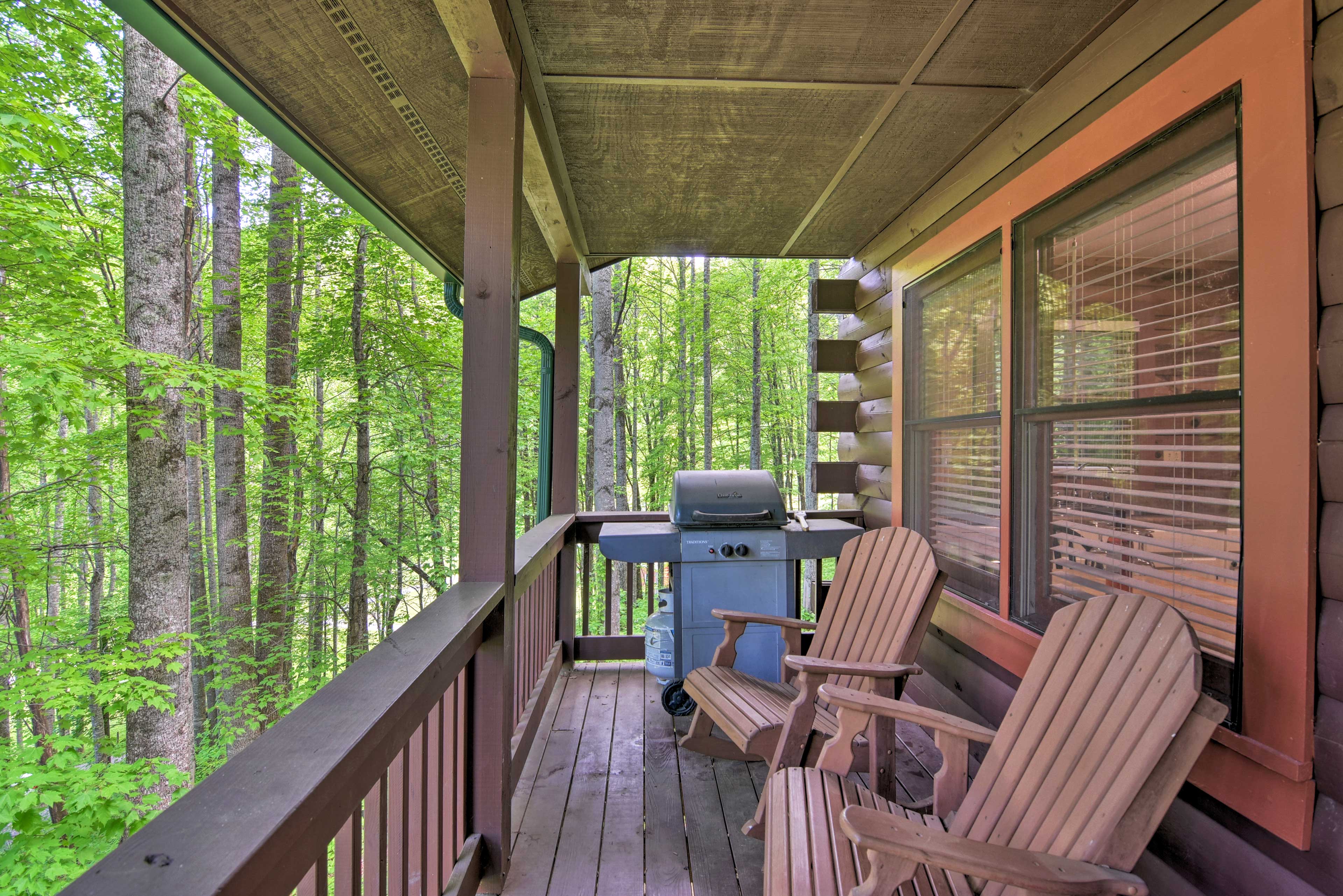 Property Image 1 - 18 Mi to Smoky Mtn Nat’l Park: Clyde Cabin