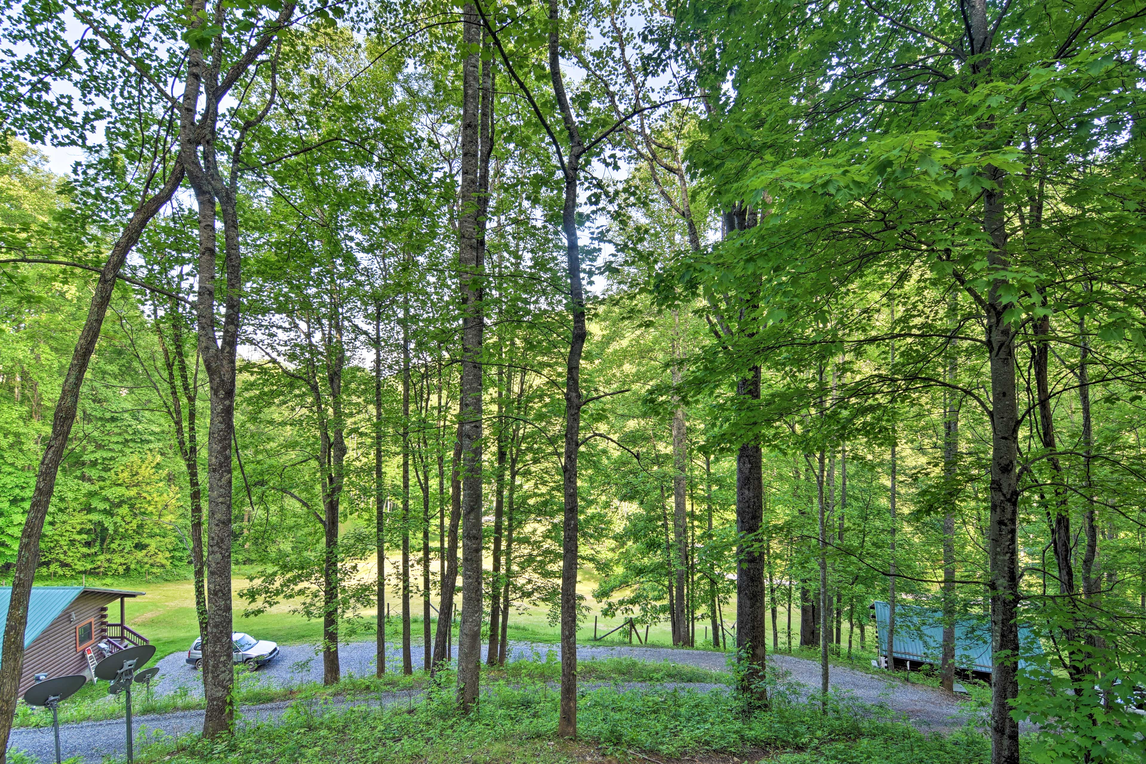 Property Image 1 - 18 Mi to Smoky Mtn Nat’l Park: Clyde Cabin