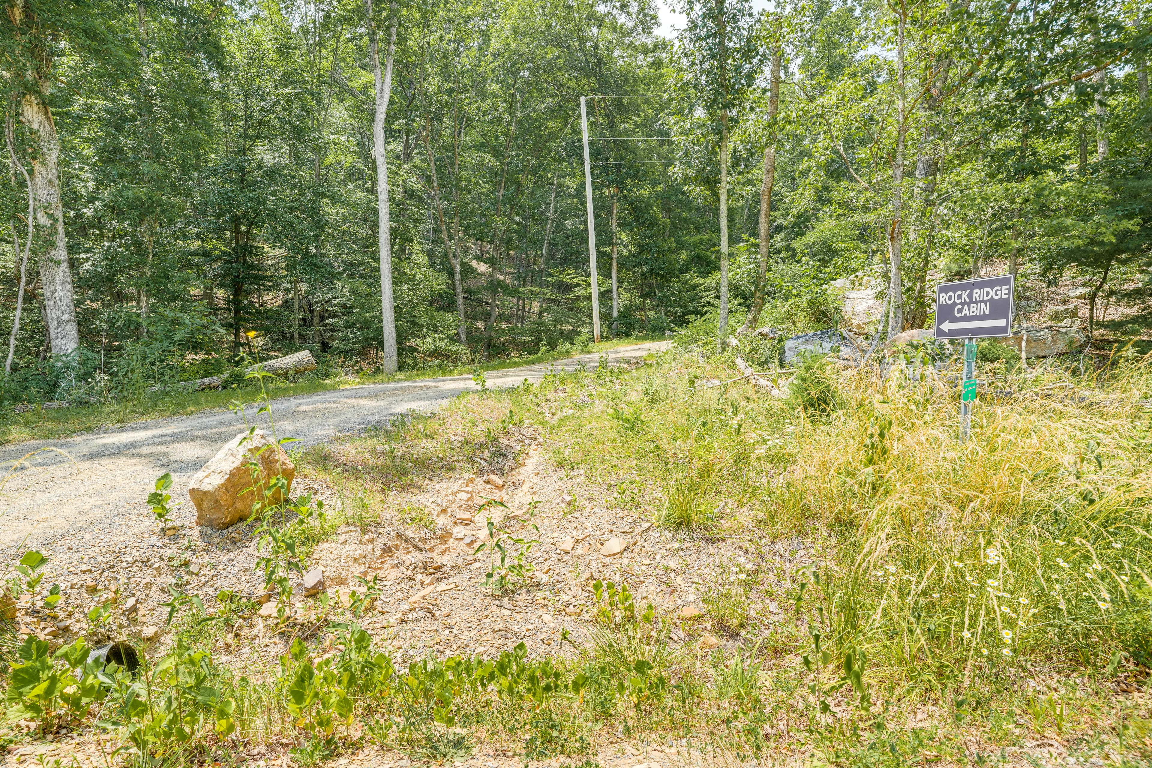 Secluded Mountain Cabin in Wardensville!