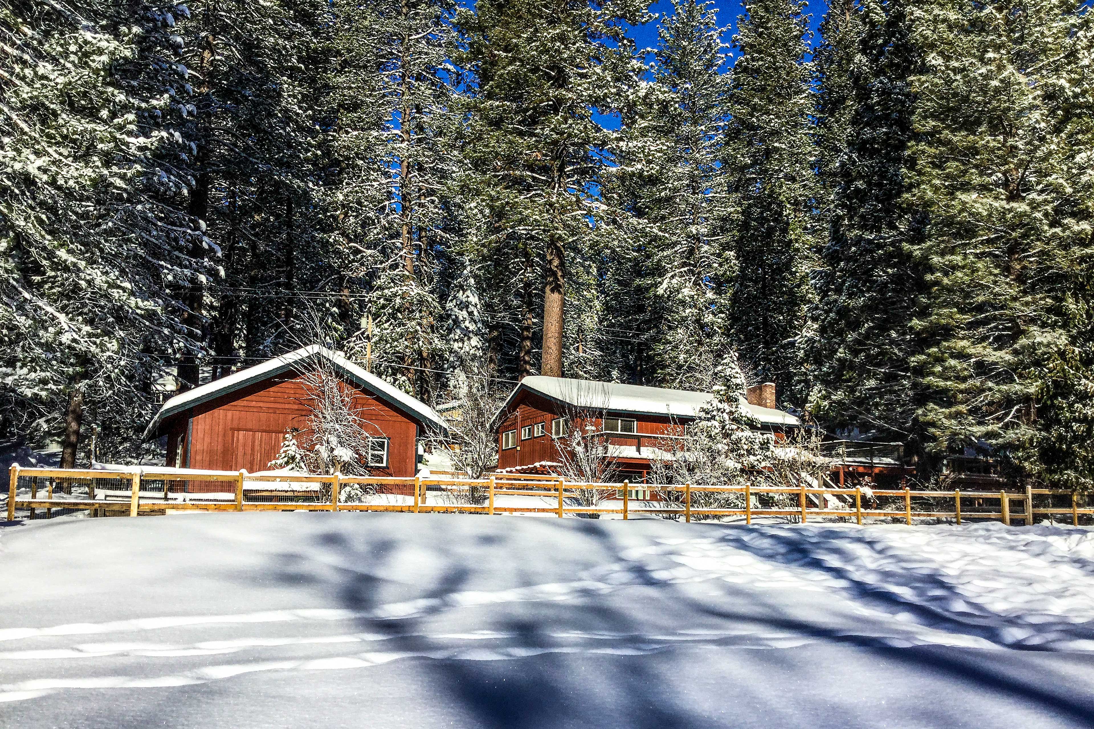 Property Image 1 - Enchanting Cabin w/ Deck & Nat’l Forest Views