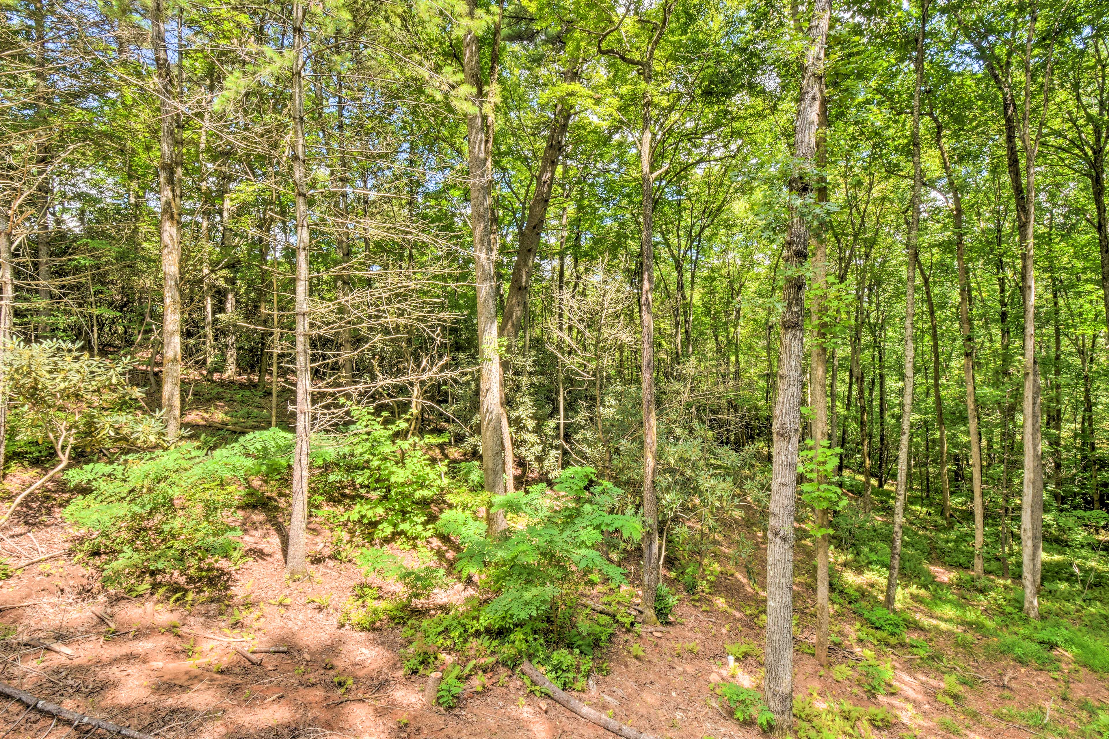 Property Image 2 - Otto Mountain Cabin Near Hiking w/ Fire Pit & Deck