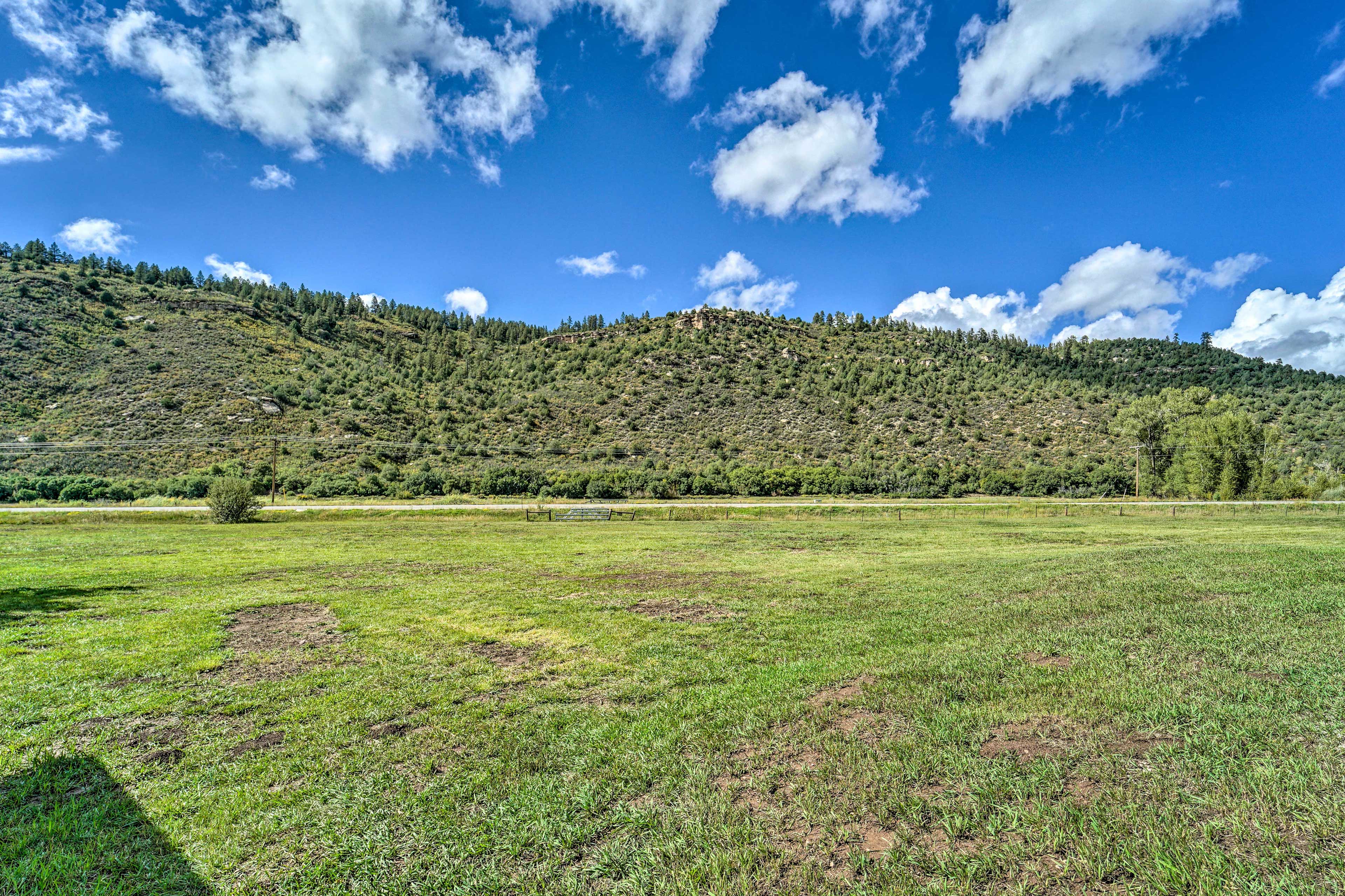 Property Image 2 - Serene Dolores Cabin w/ Patio & River Access!