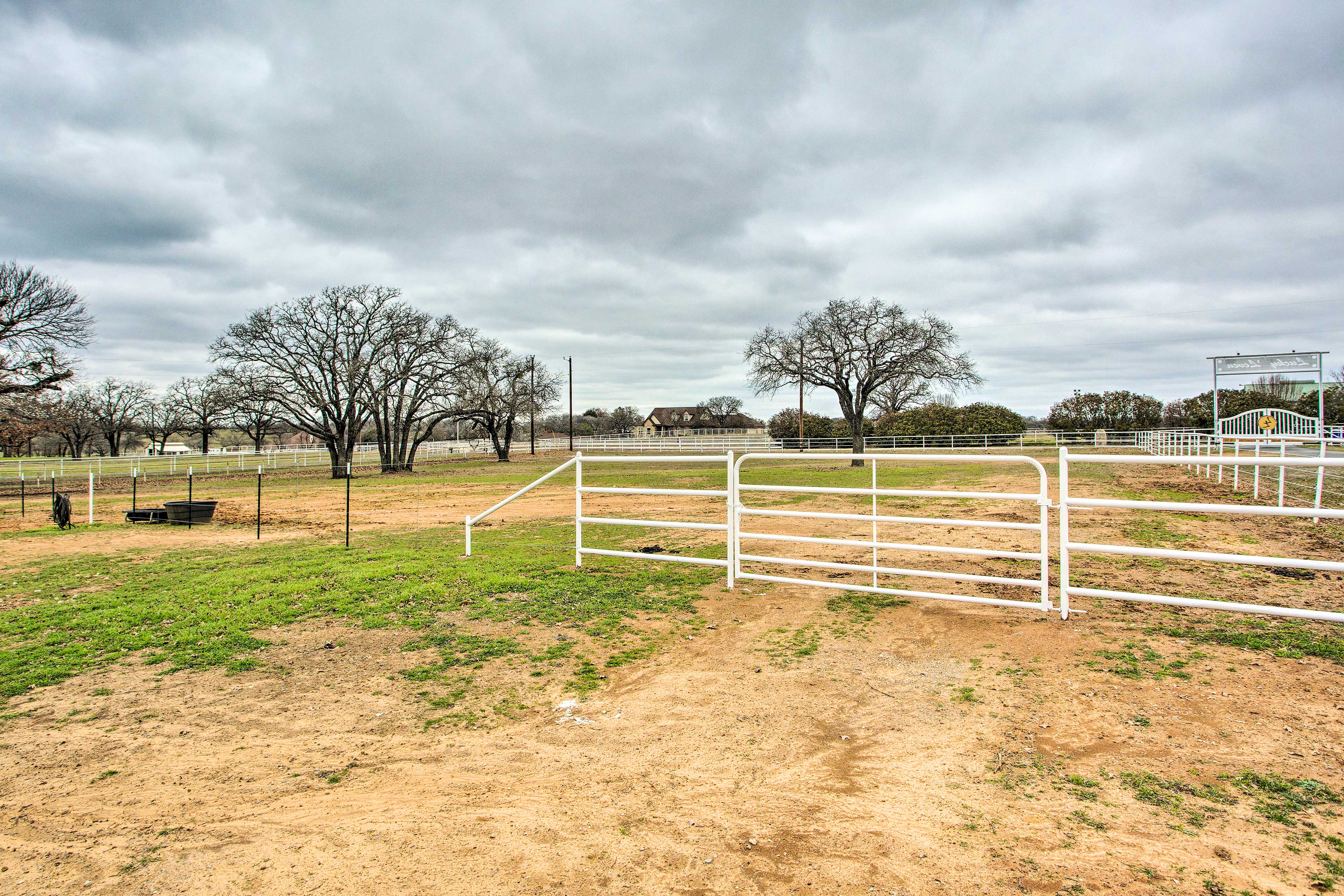 Property Image 2 - Dog-Friendly Texas Ranch w/ Patio, Horses On-Site