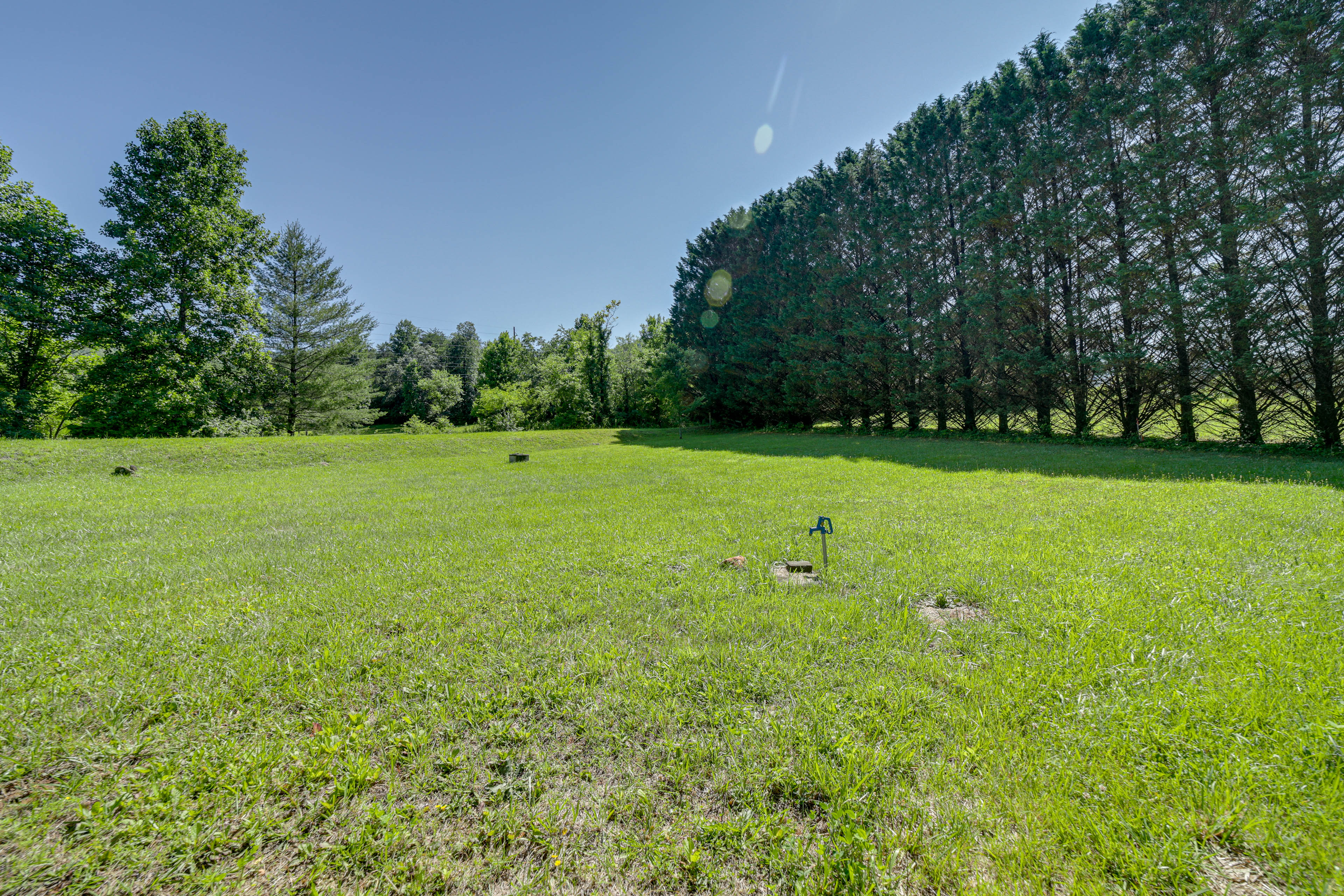 Property Image 1 - Serene Franklin Cabin with Tessentee Creek Access!