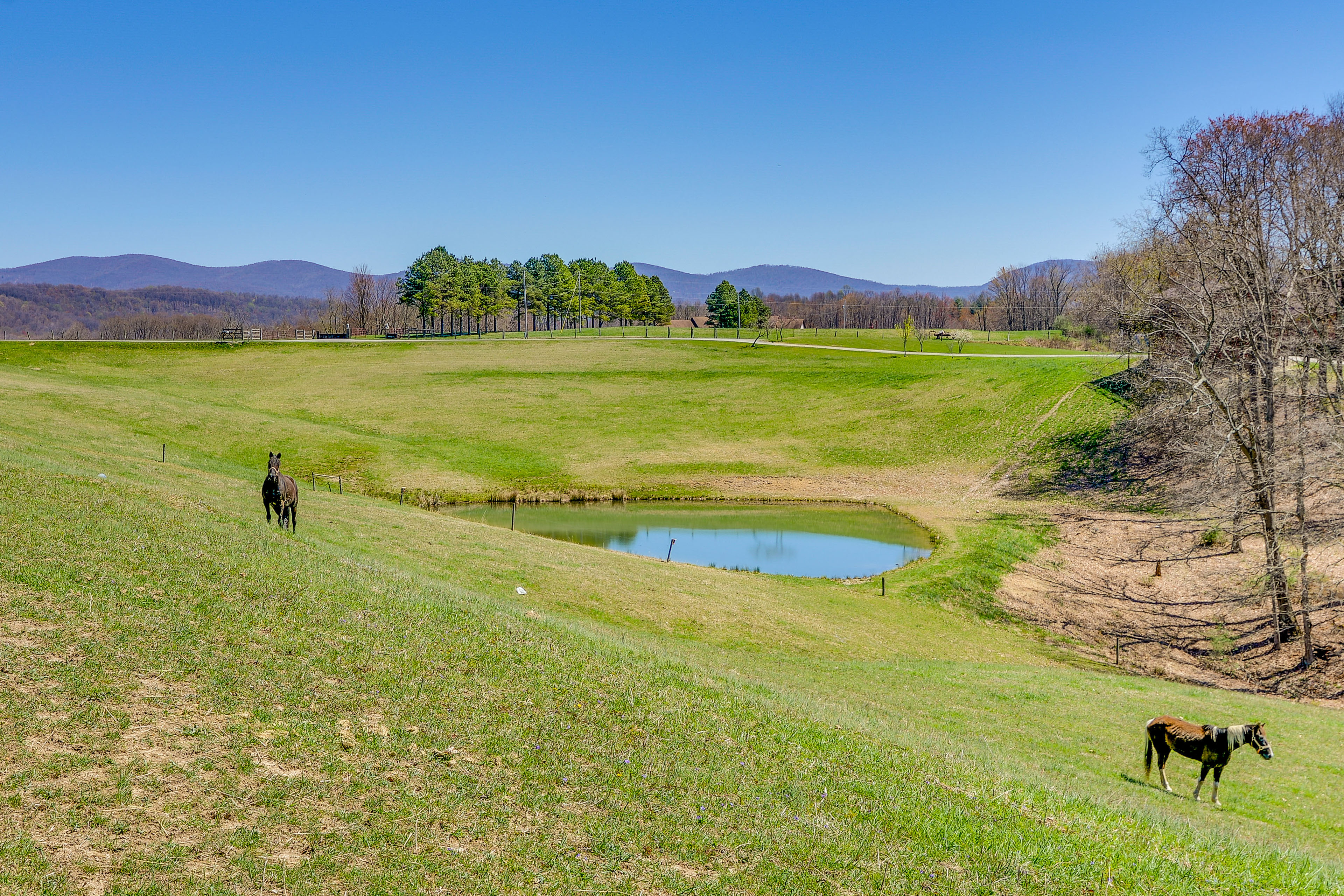 Property Image 2 - Scenic Ranch House w/ Fishing Pond!