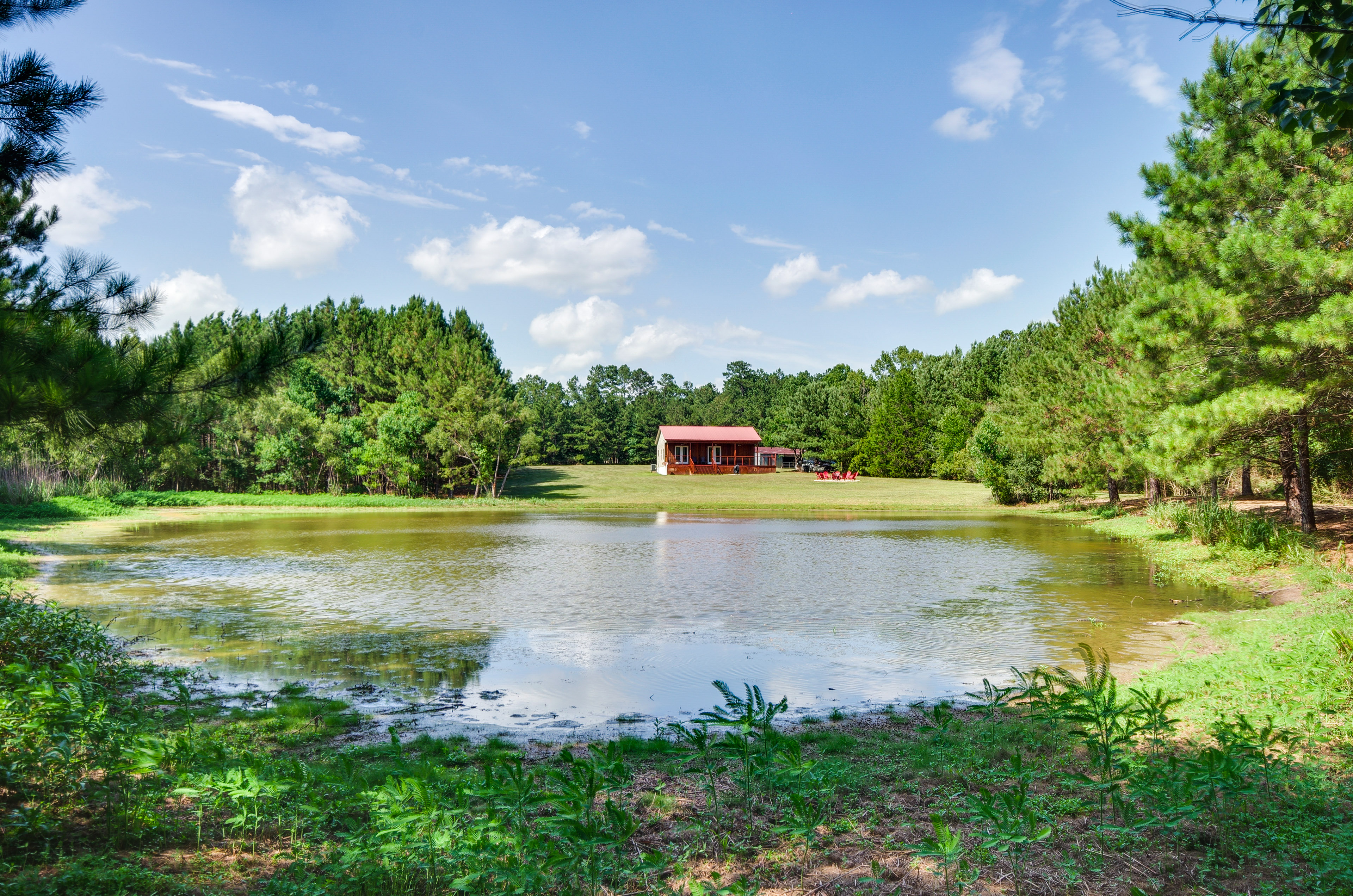 Property Image 2 - Cozy Summit Cabin w/ Hiking Trails & Fishing Pond!