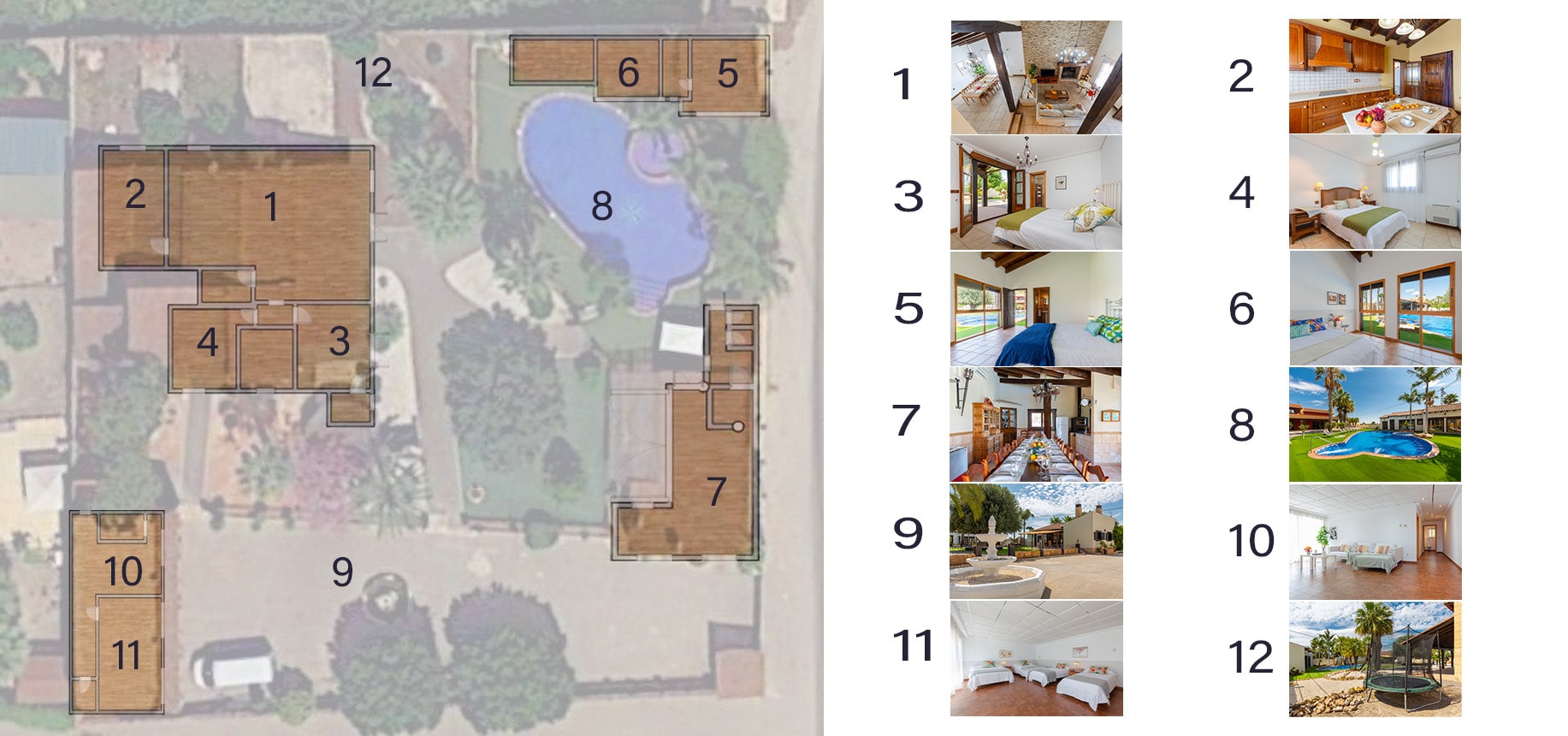 Summer Dream Summer Dream