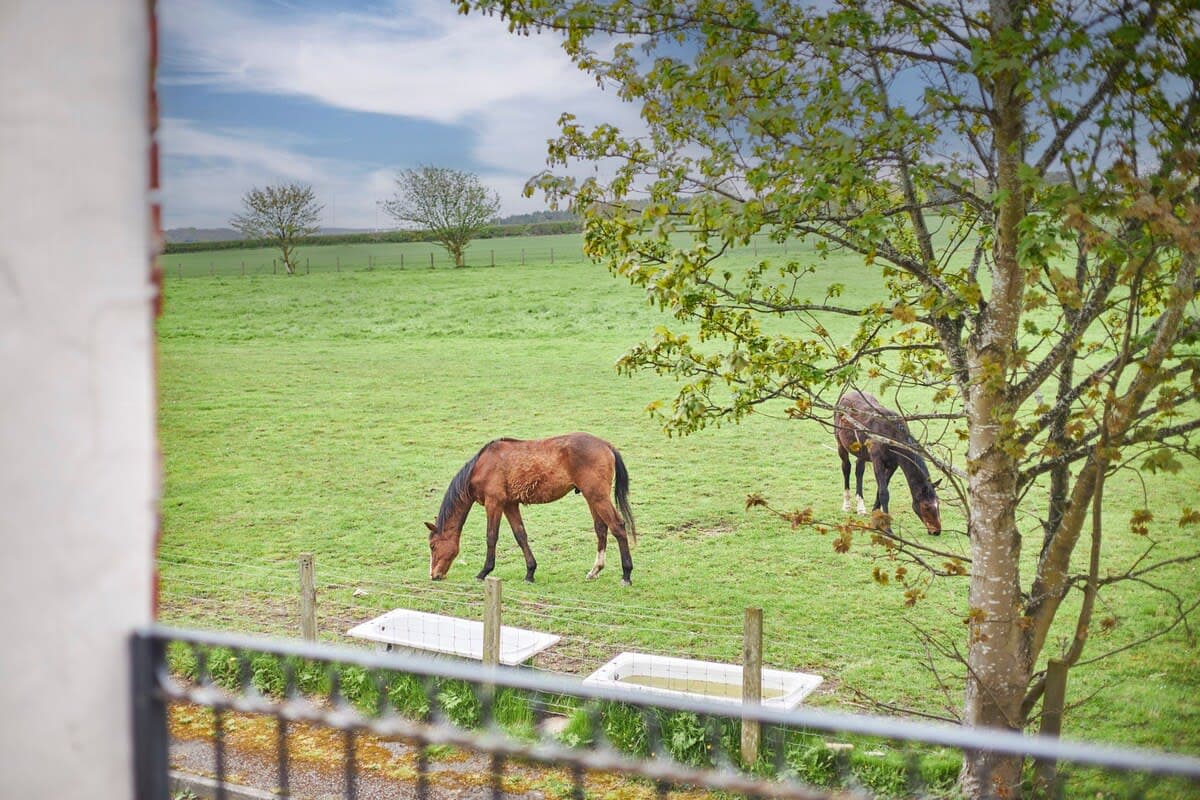 The Paddock, Netherton - Host & Stay