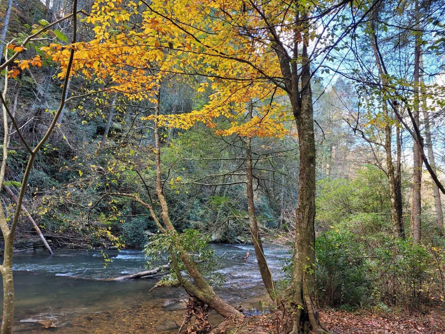 Property Image 2 - Lullaby Creek