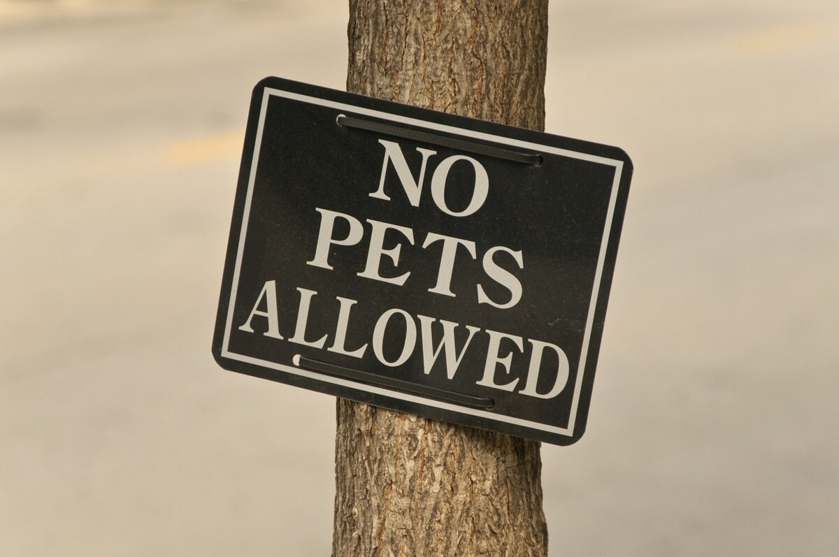 Sorry no pets allowed.