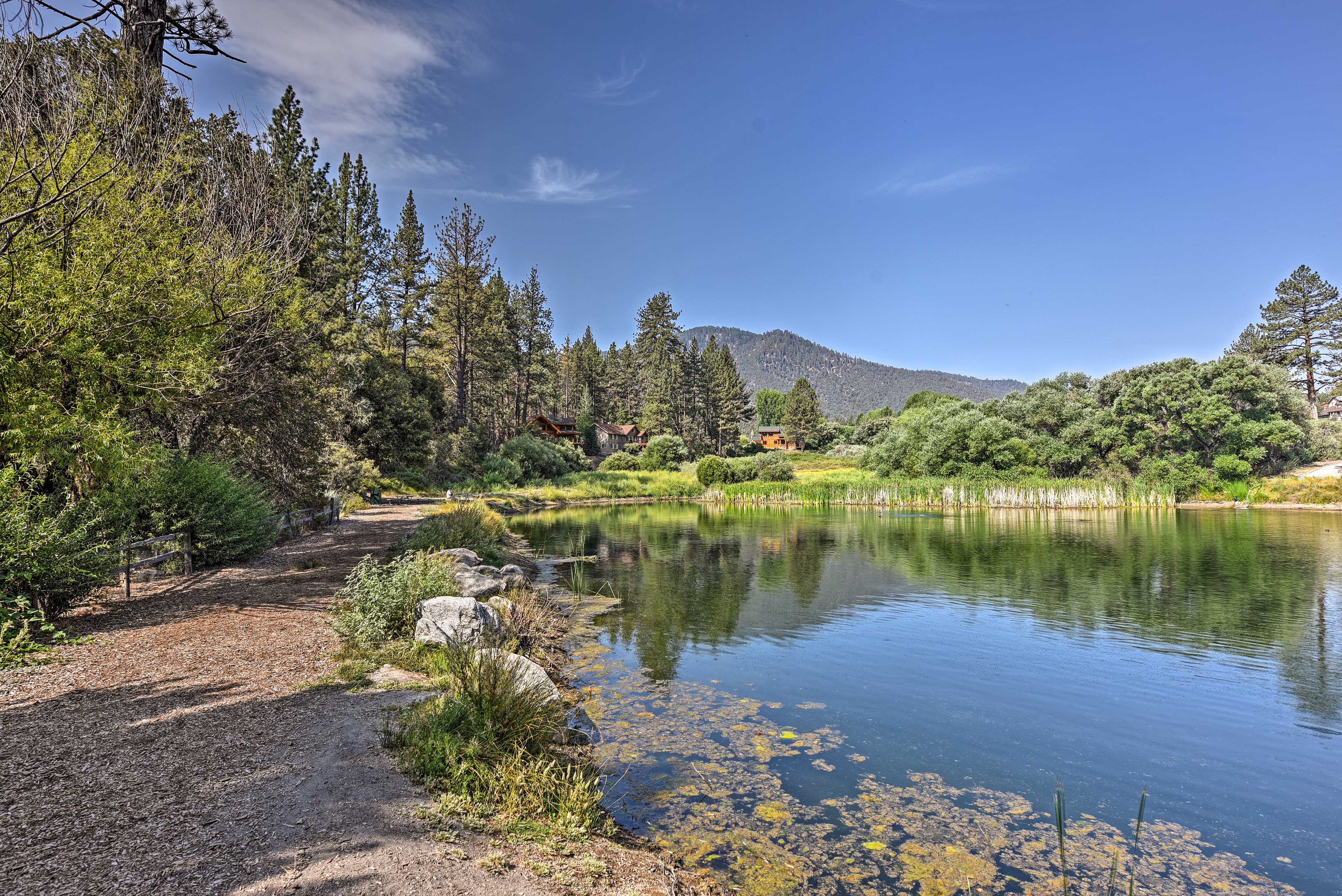 Property Image 2 - Modern Pine Mountain Club Cabin w/ Community Pool!