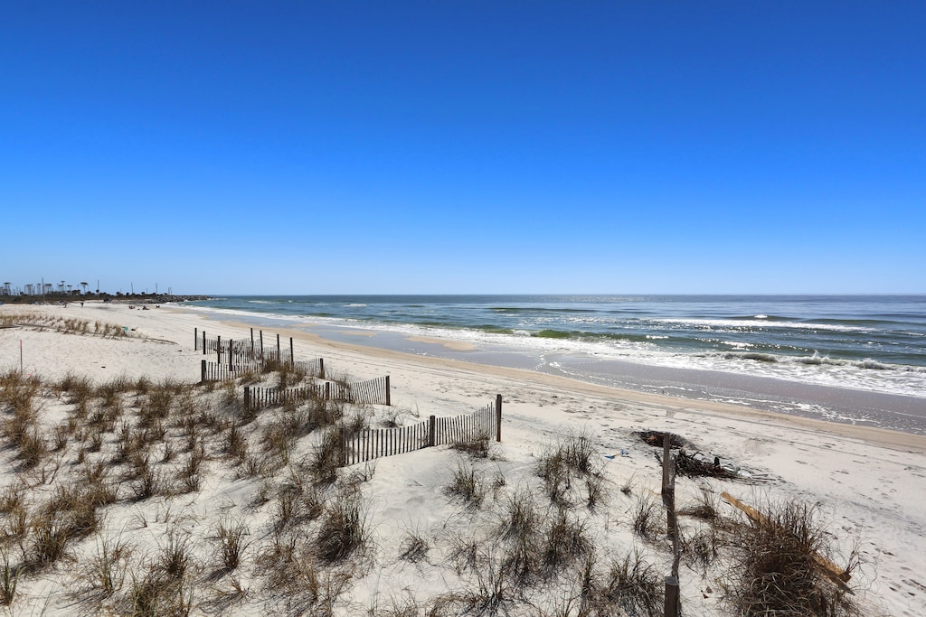View of the Beach to the South