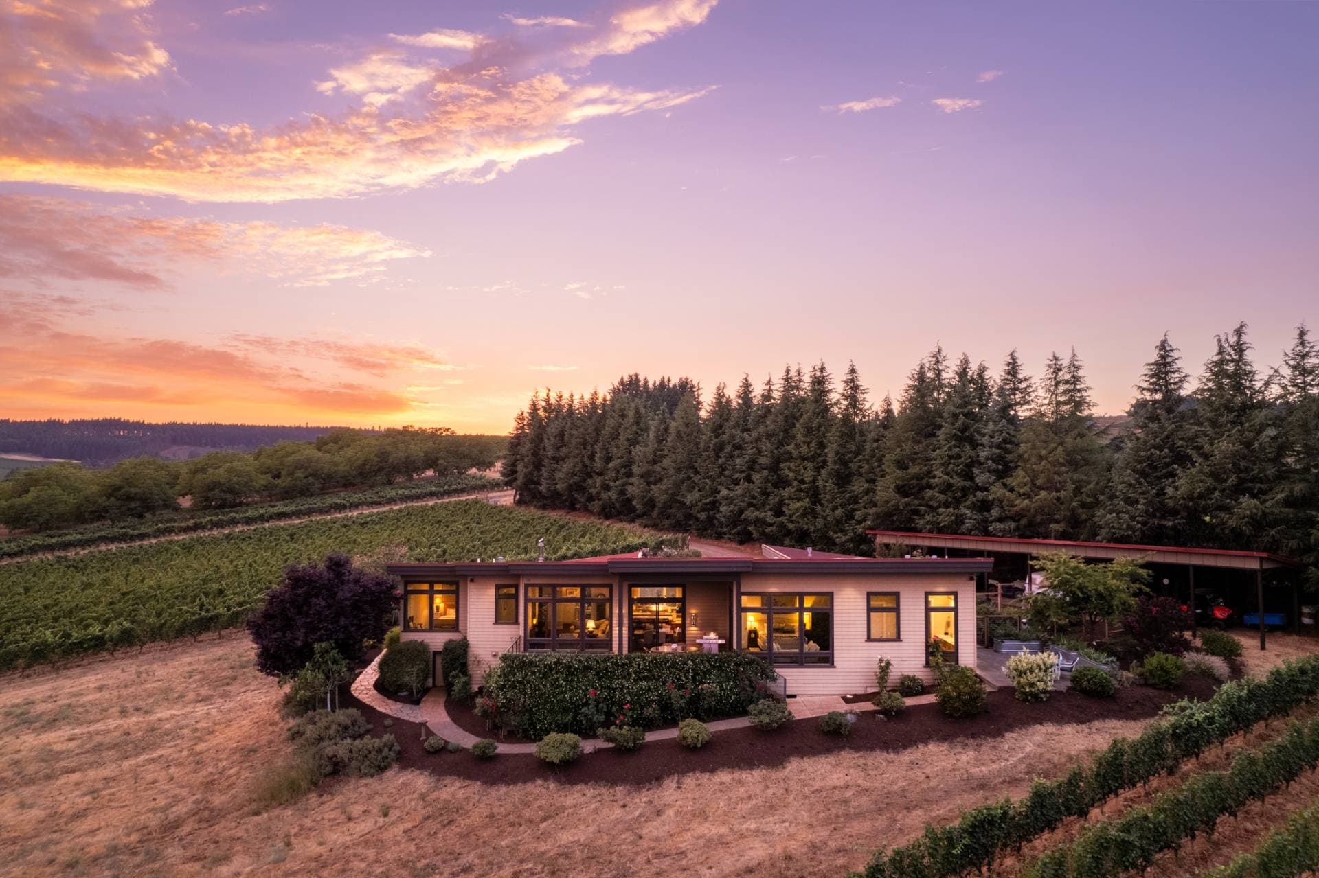 Property Image 1 - Trellis at Baptista Maresh Vineyard