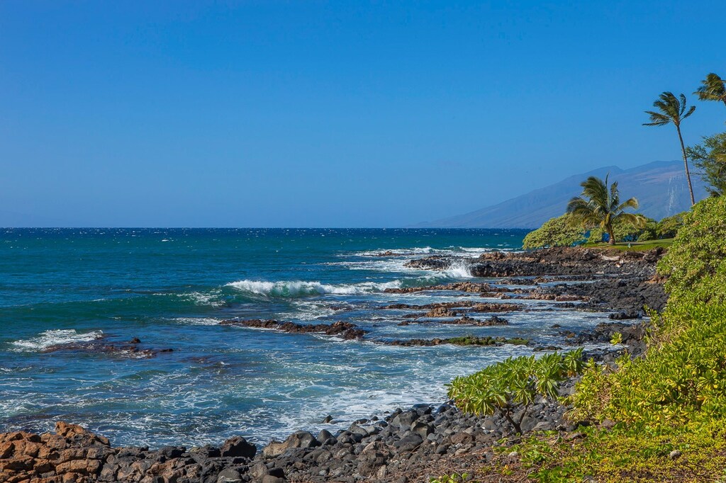 Scenic Maui coast