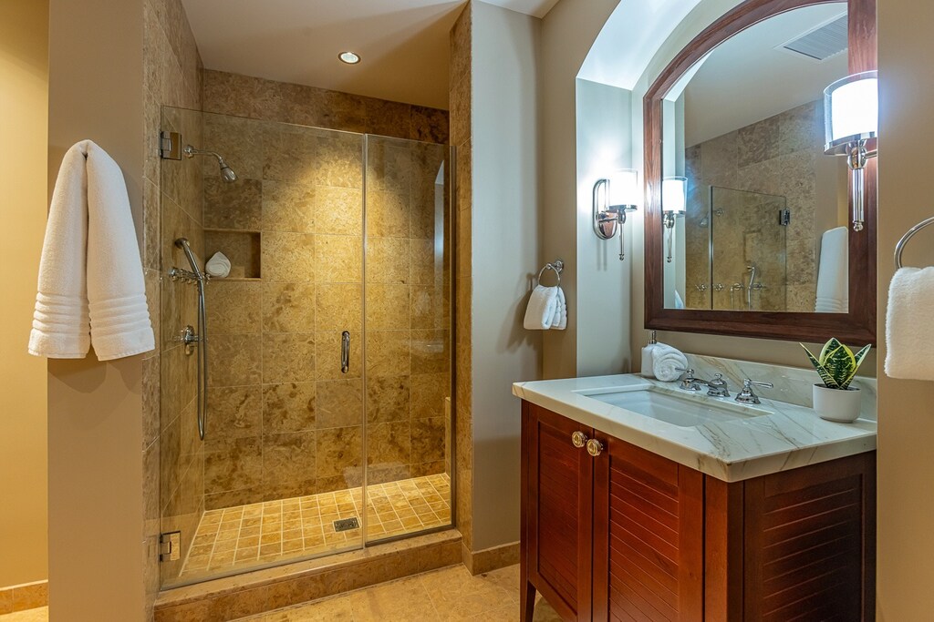 Guest bathroom with walk-in shower
