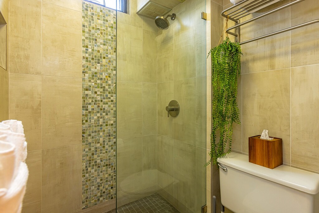 Walk-in shower enclosure