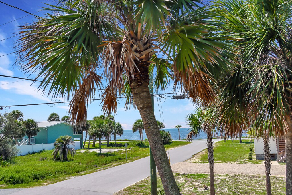 Beautiful Palm Trees and Blue Water