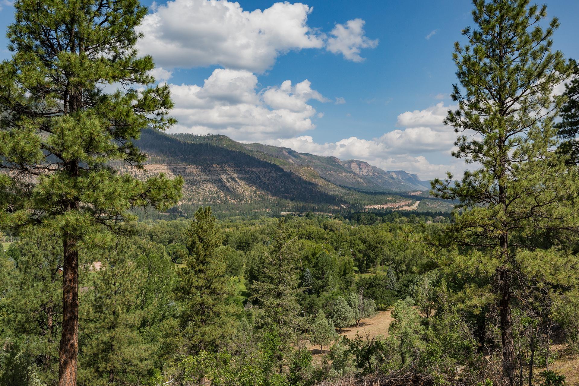 View from the private deck