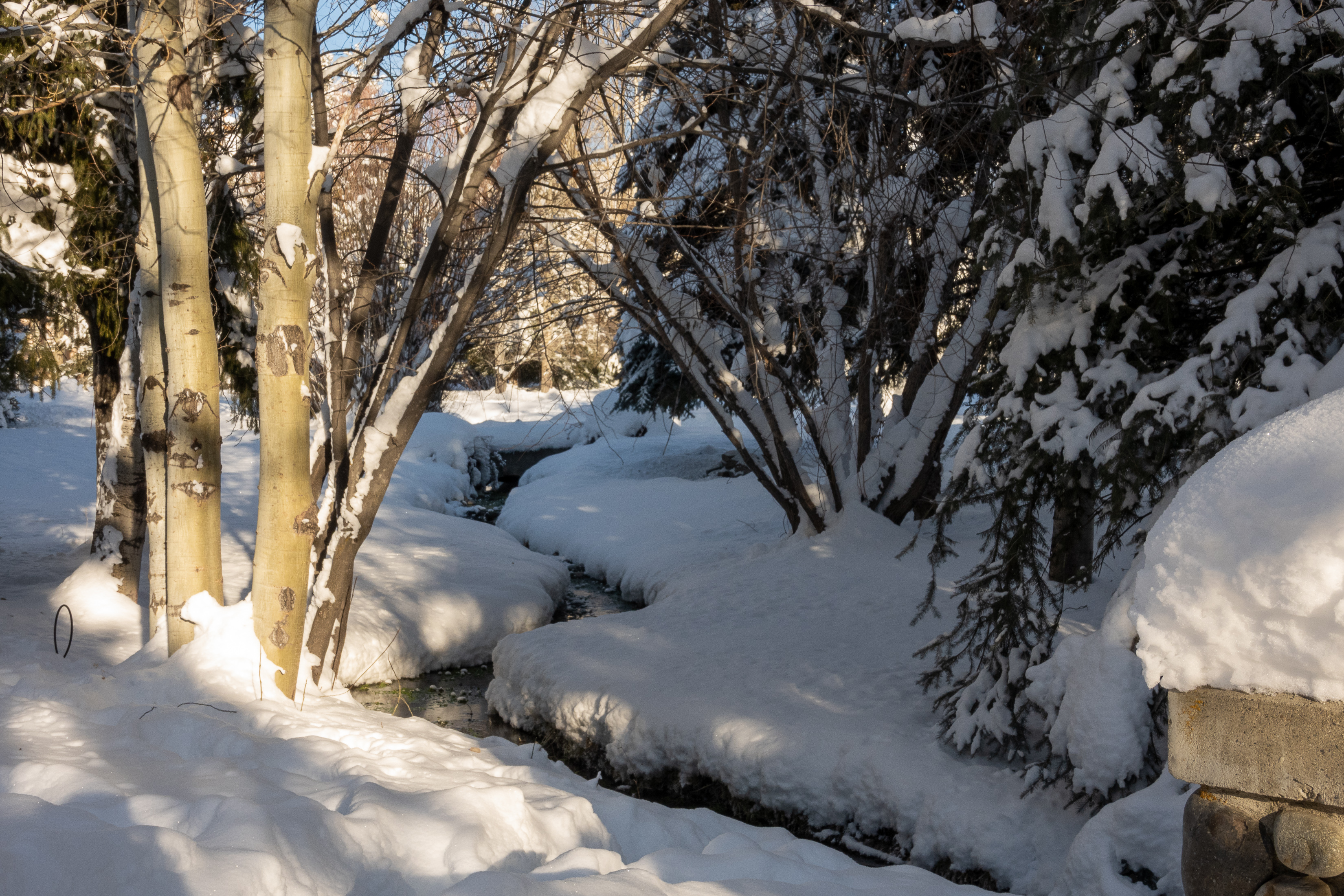 The magic of snow season by the stream