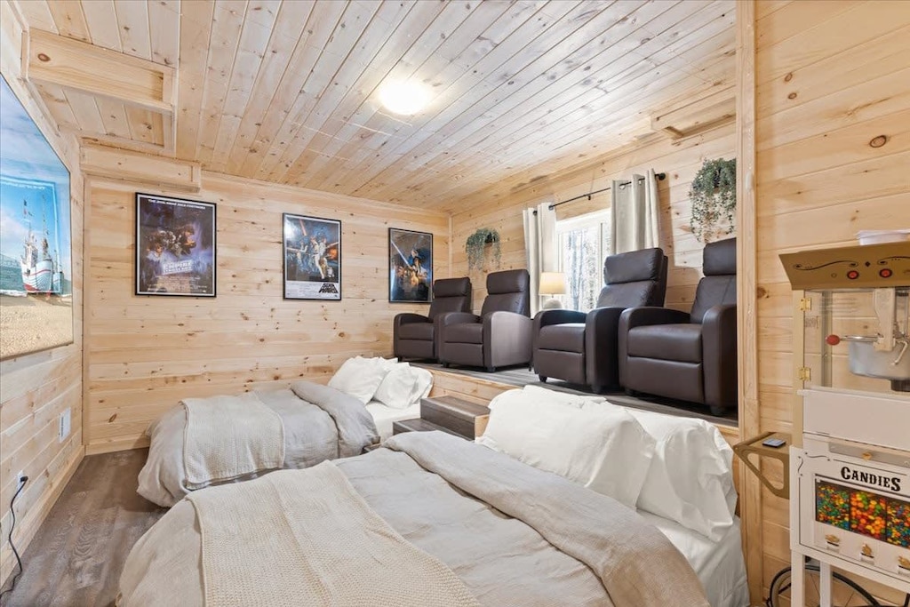 The Movie Theater Room