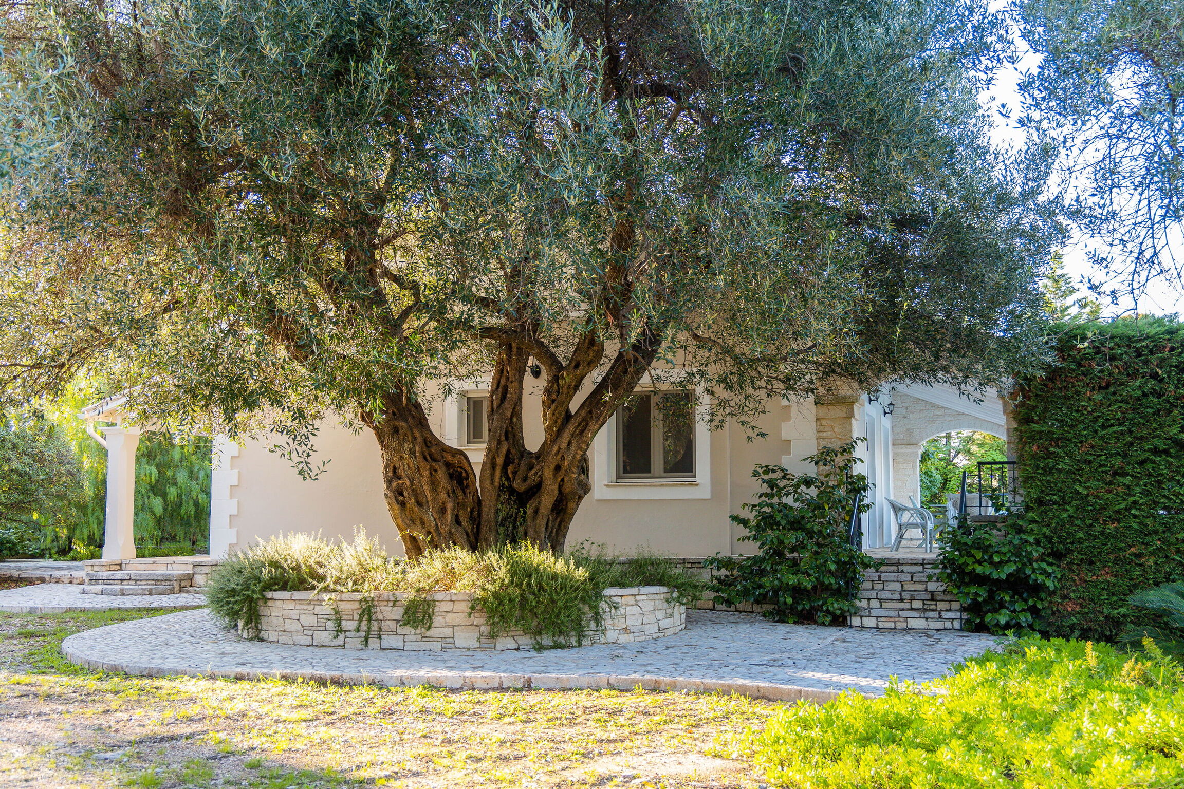 Property Image 2 - Villa Dimitris