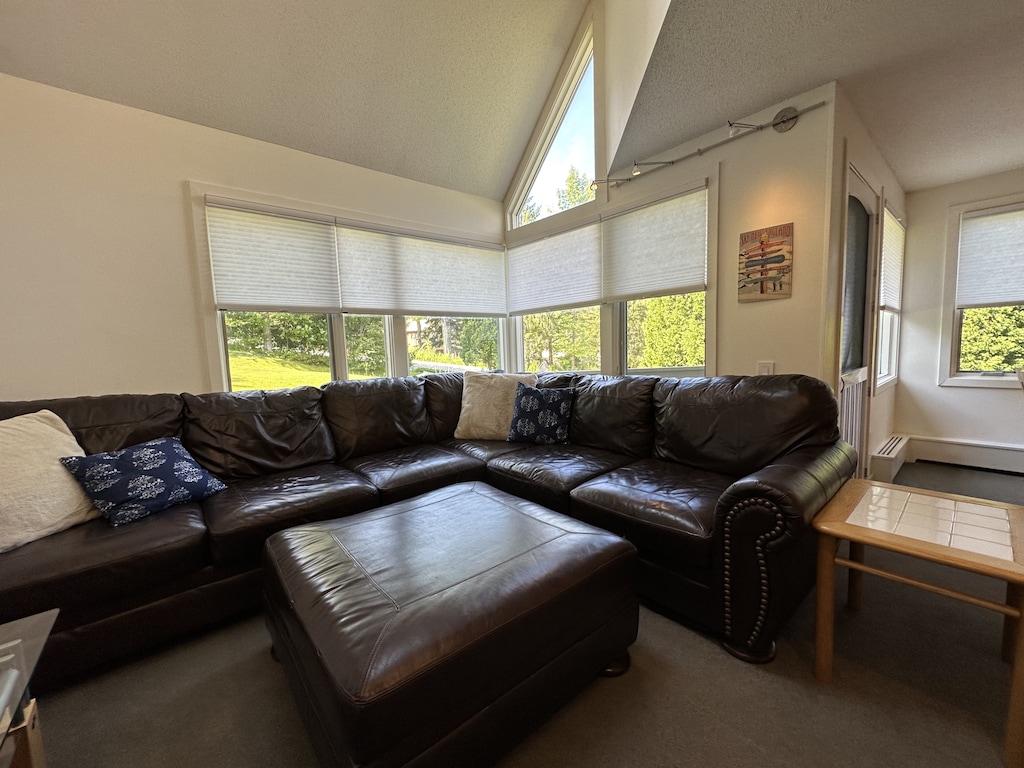 Comfortable couch for lounging