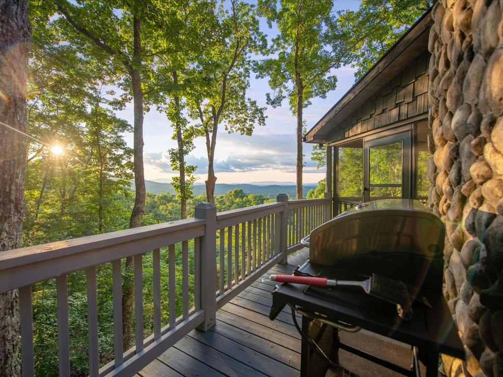 Aska Bliss- A grill on the deck with screened in porch access and a forest view