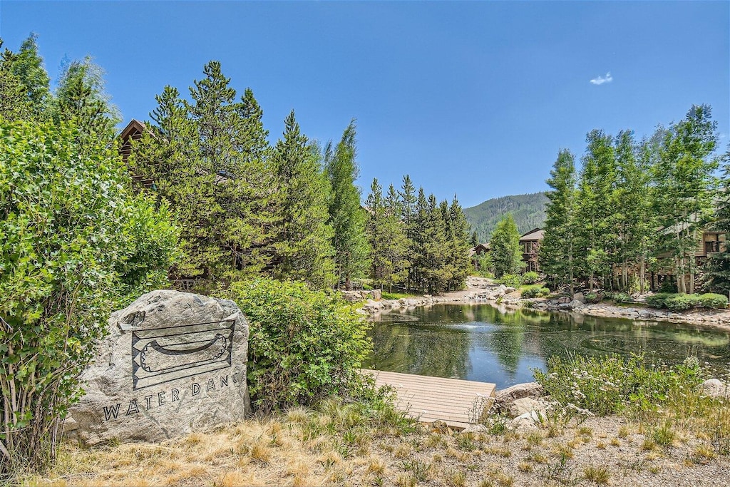 Waterdance Community