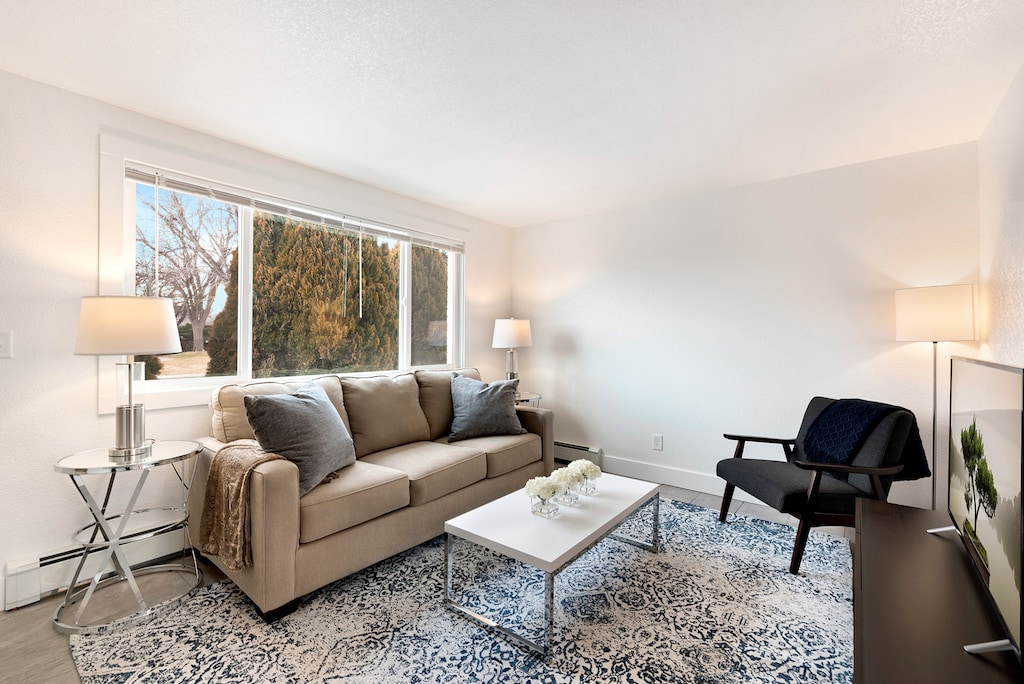 Living Room with Smart TV and Pull-out Sofa