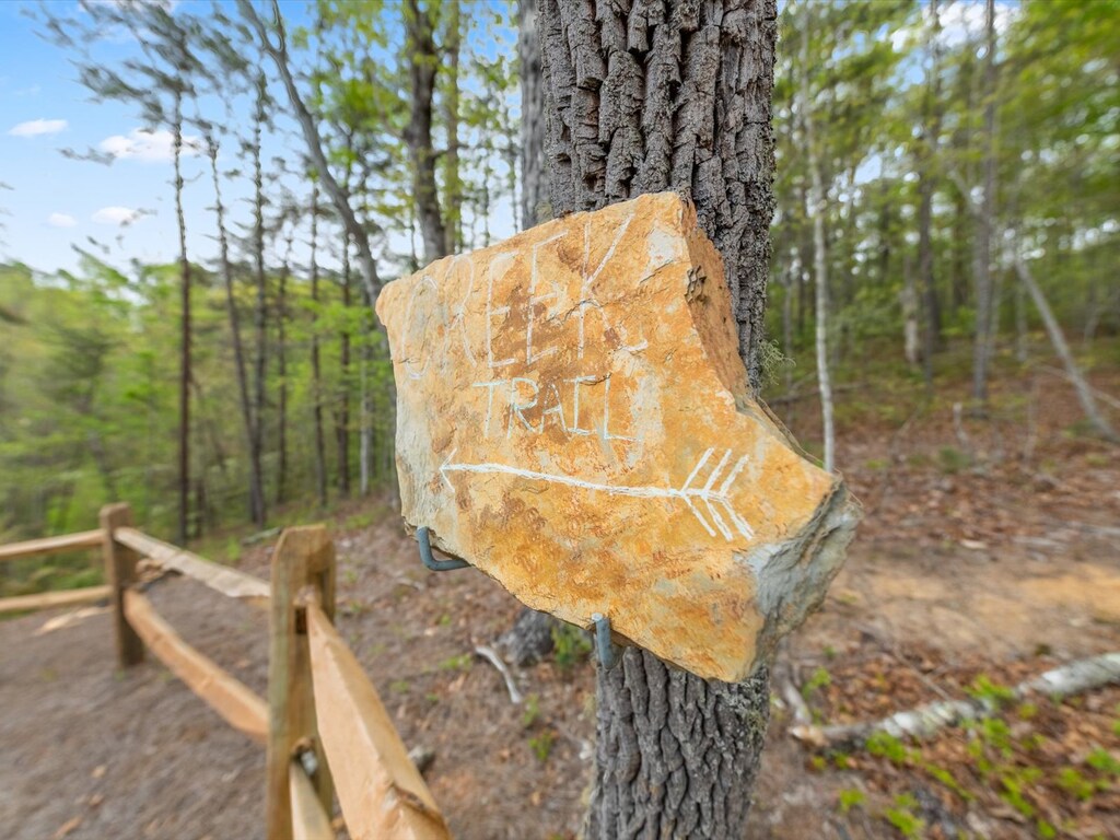 The Bird's Nest - Follow the Yellow Brick Road