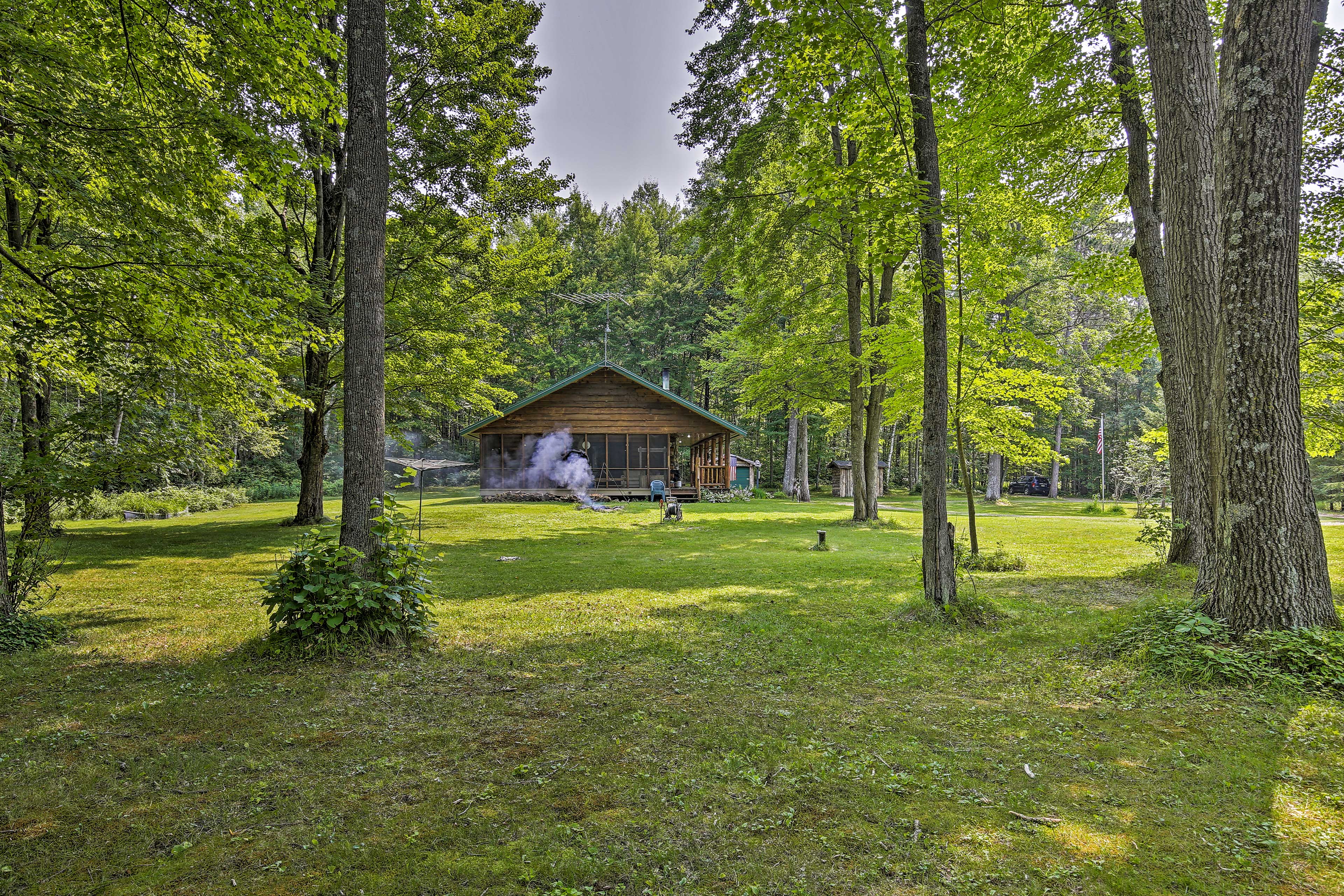 Property Image 2 - Scenic Cabin on 2 Acres Near Lake Holcombe Marina!