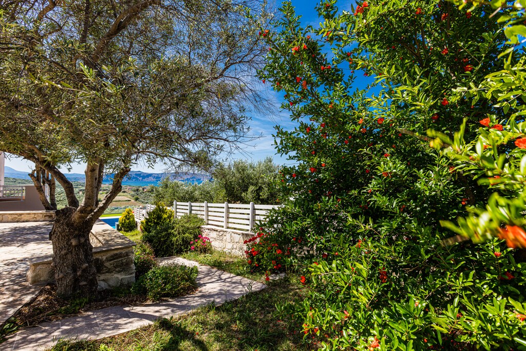 A lawn covered area with flowers