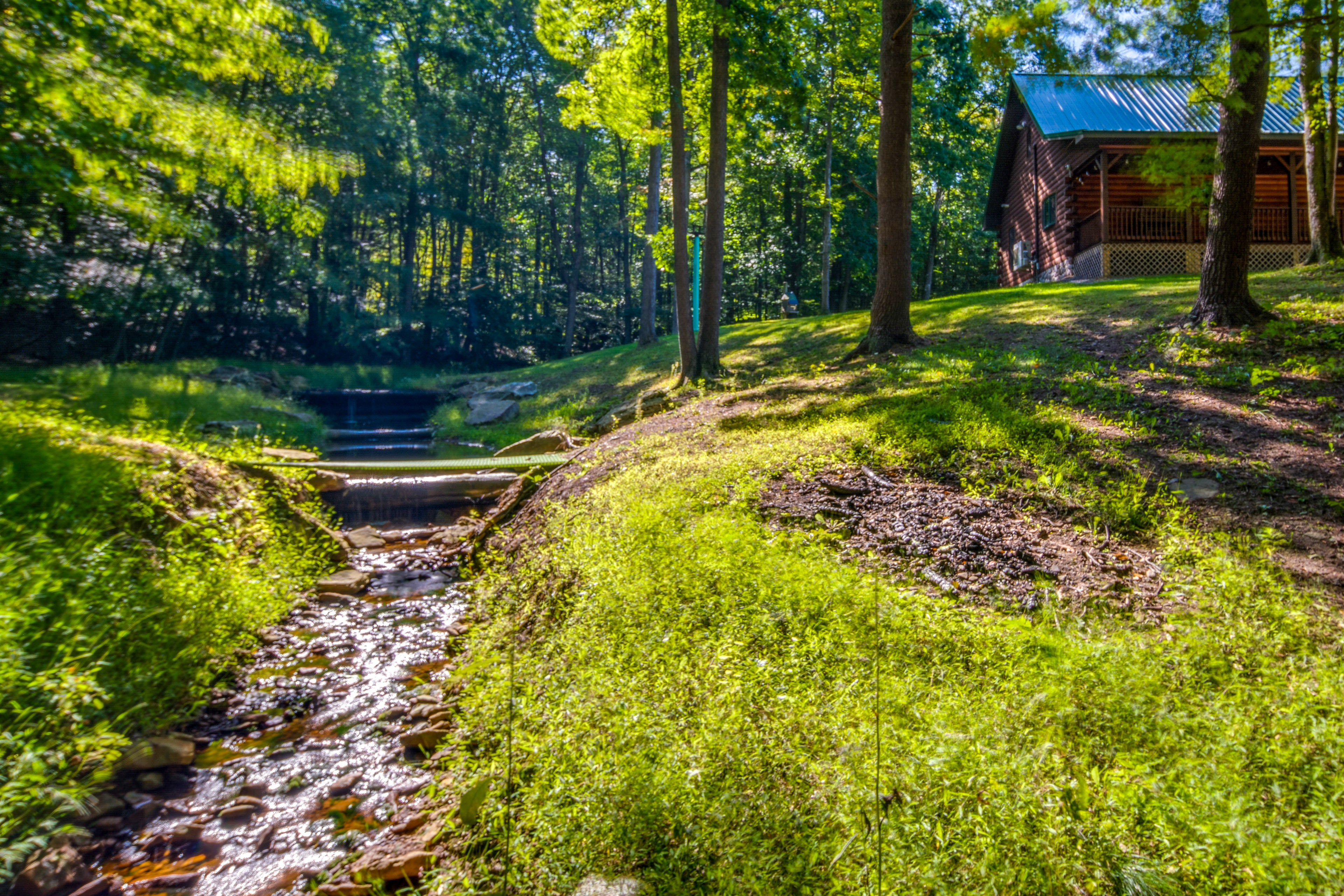 Property Image 2 - Secluded Cabin w/ On-Site Creek + Trails!