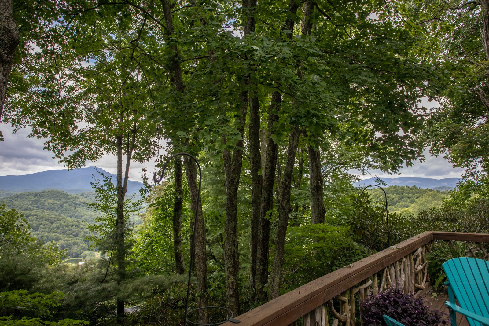 Though wooded, there are wonderful views of Grandfather Mountain from Azalea Hill