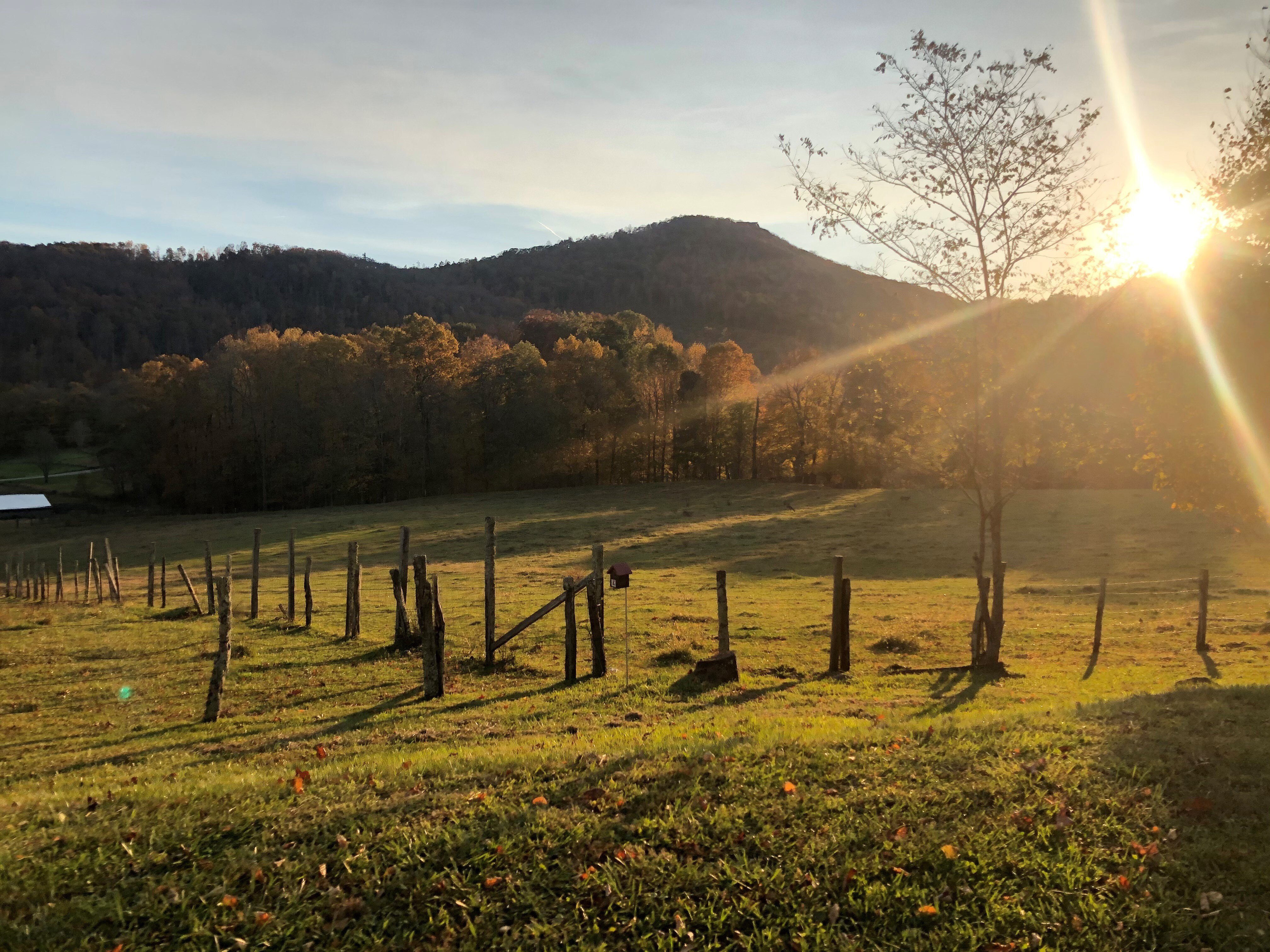 Peaceful Pastoral Mountain Views from Speckles Cabin!