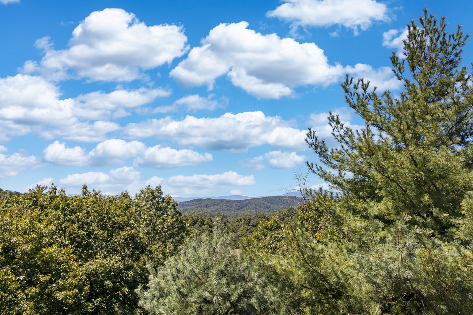 Long Range Mountain View