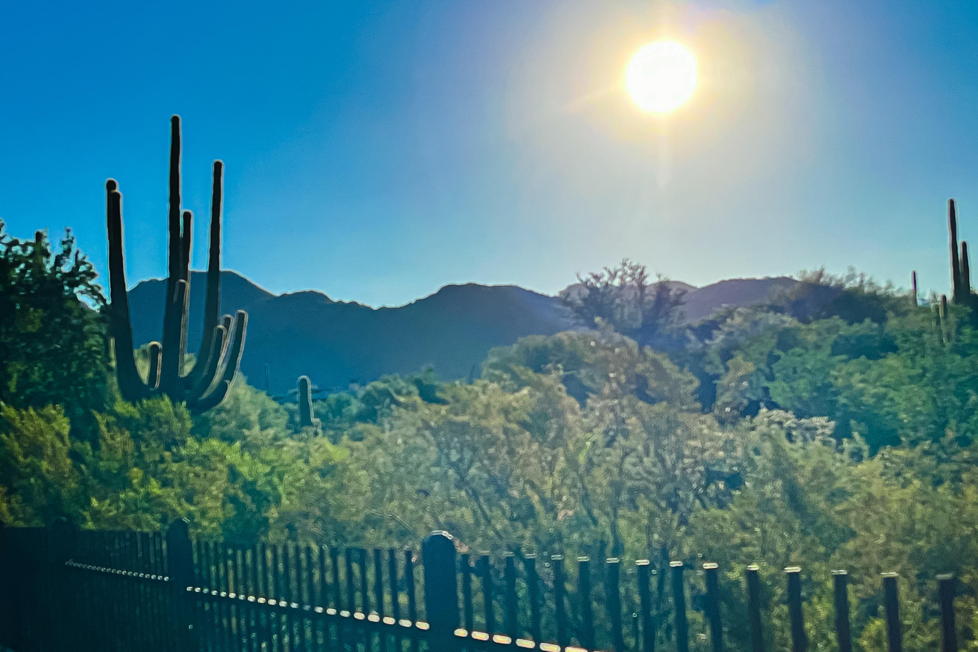 Property Image 1 - Cacti Retreat 