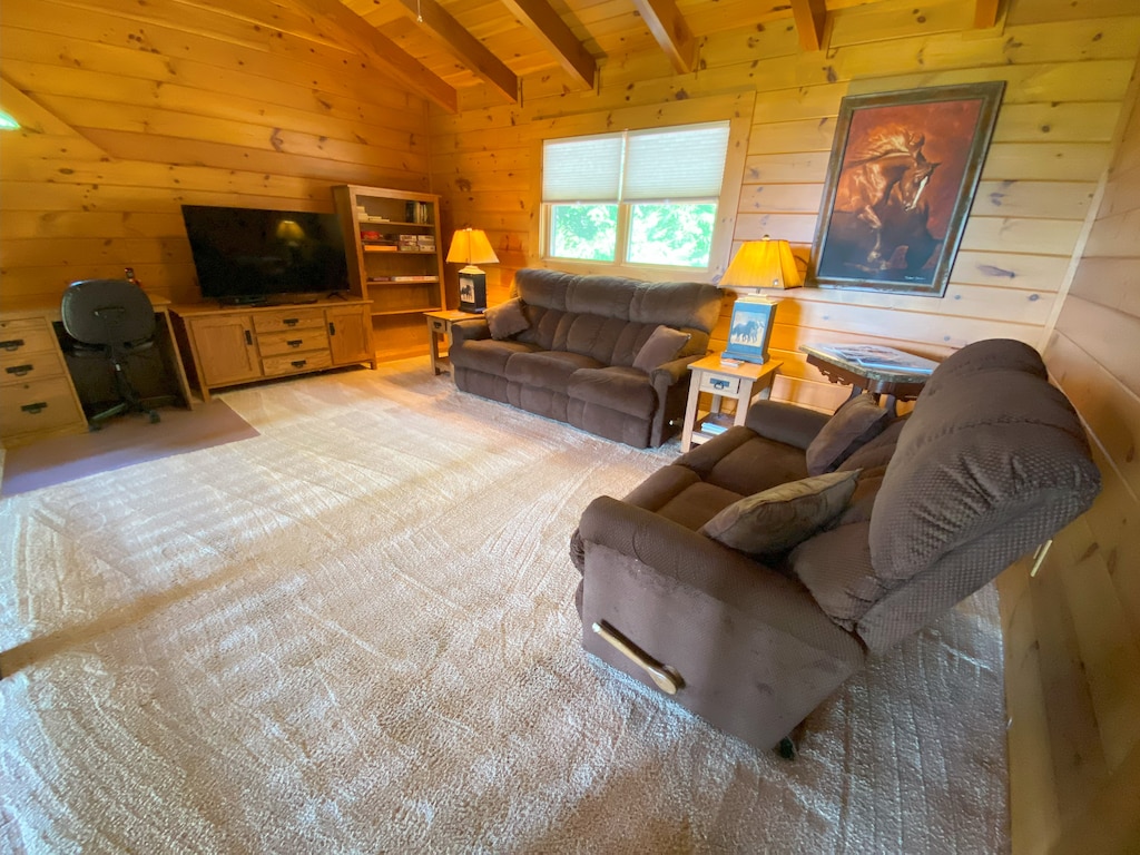 Horsin' Around at Leatherwood Mountains