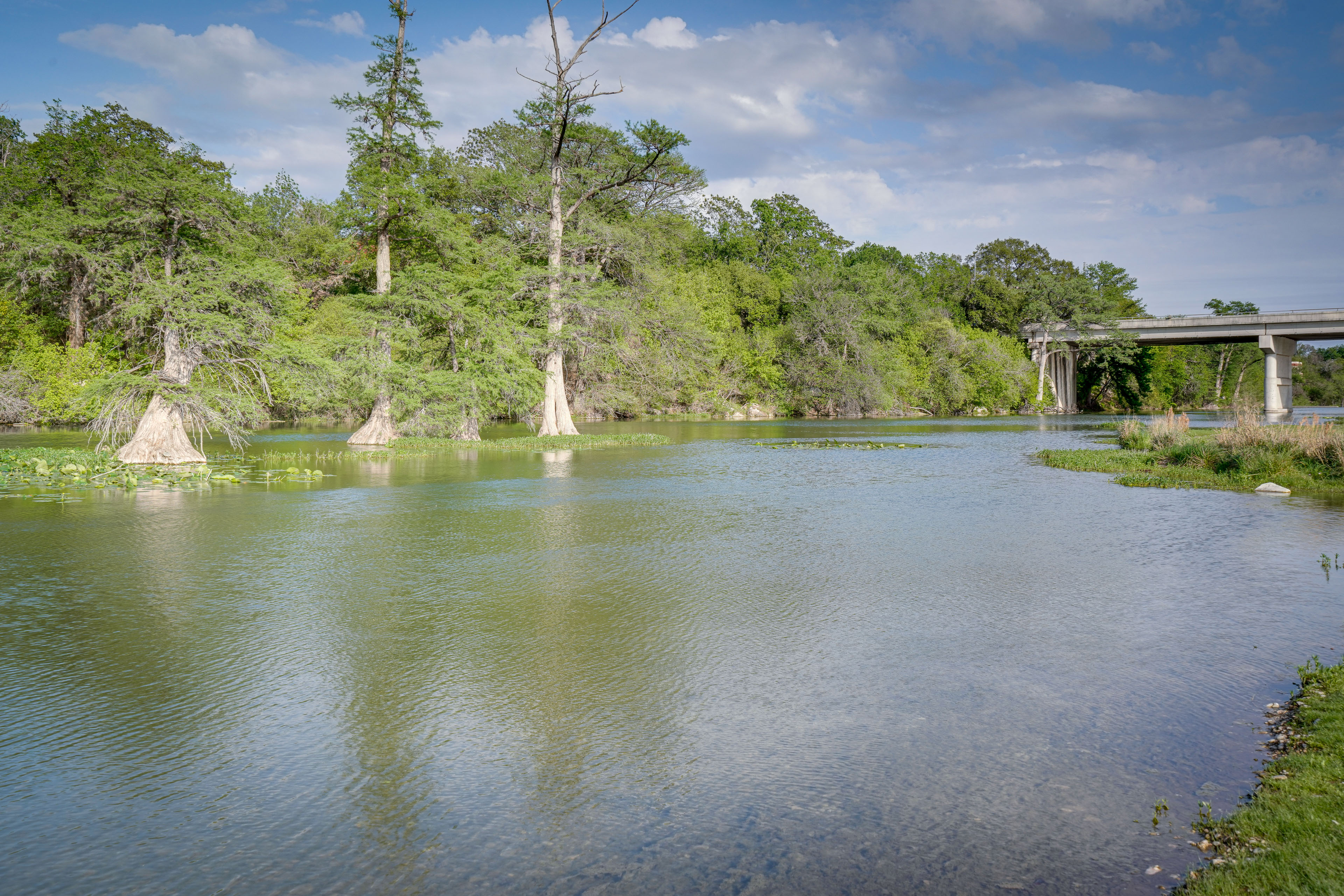 Property Image 1 - Kerrville Vacation Rental Across From River Trail!