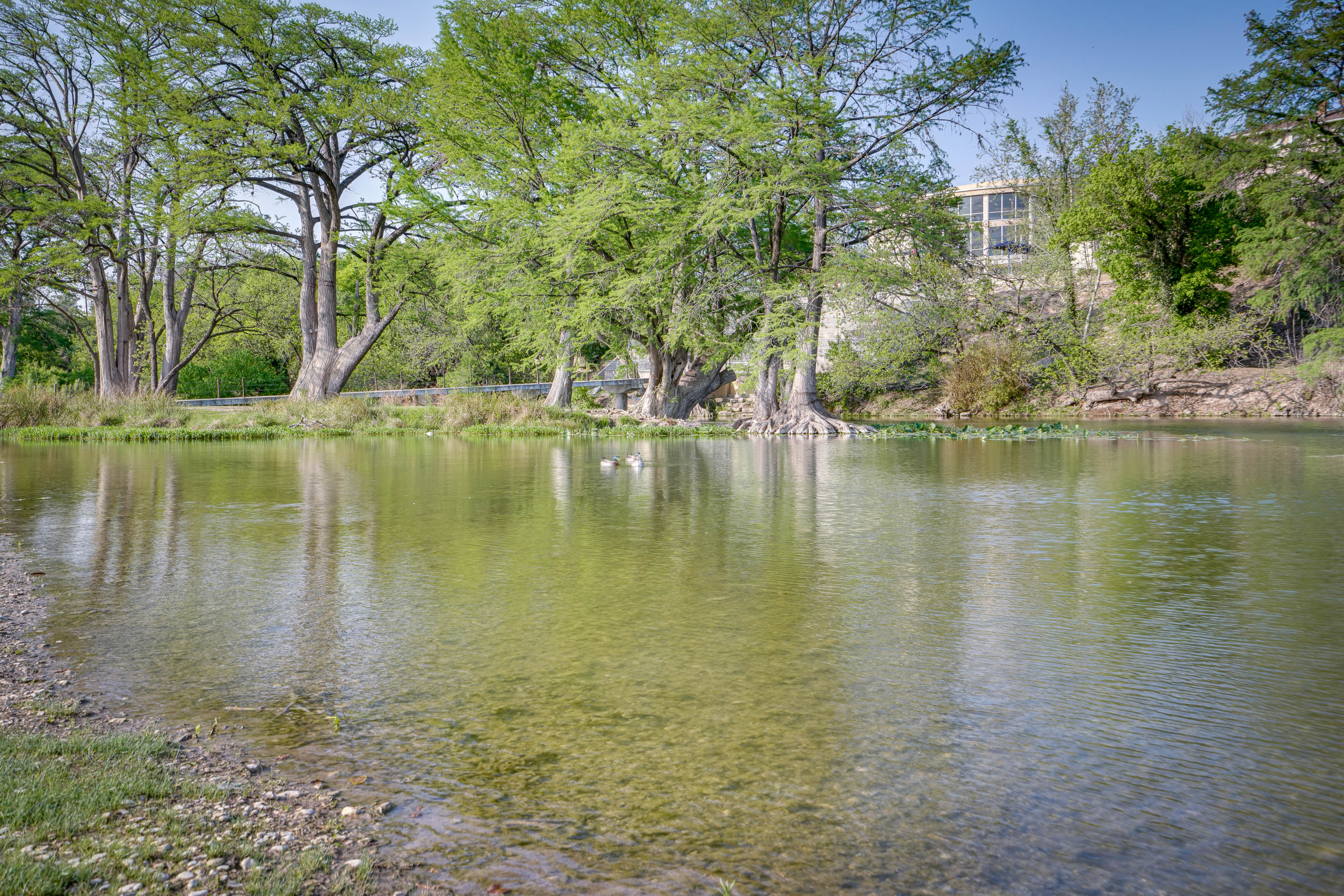 Property Image 2 - Kerrville Vacation Rental Across From River Trail!