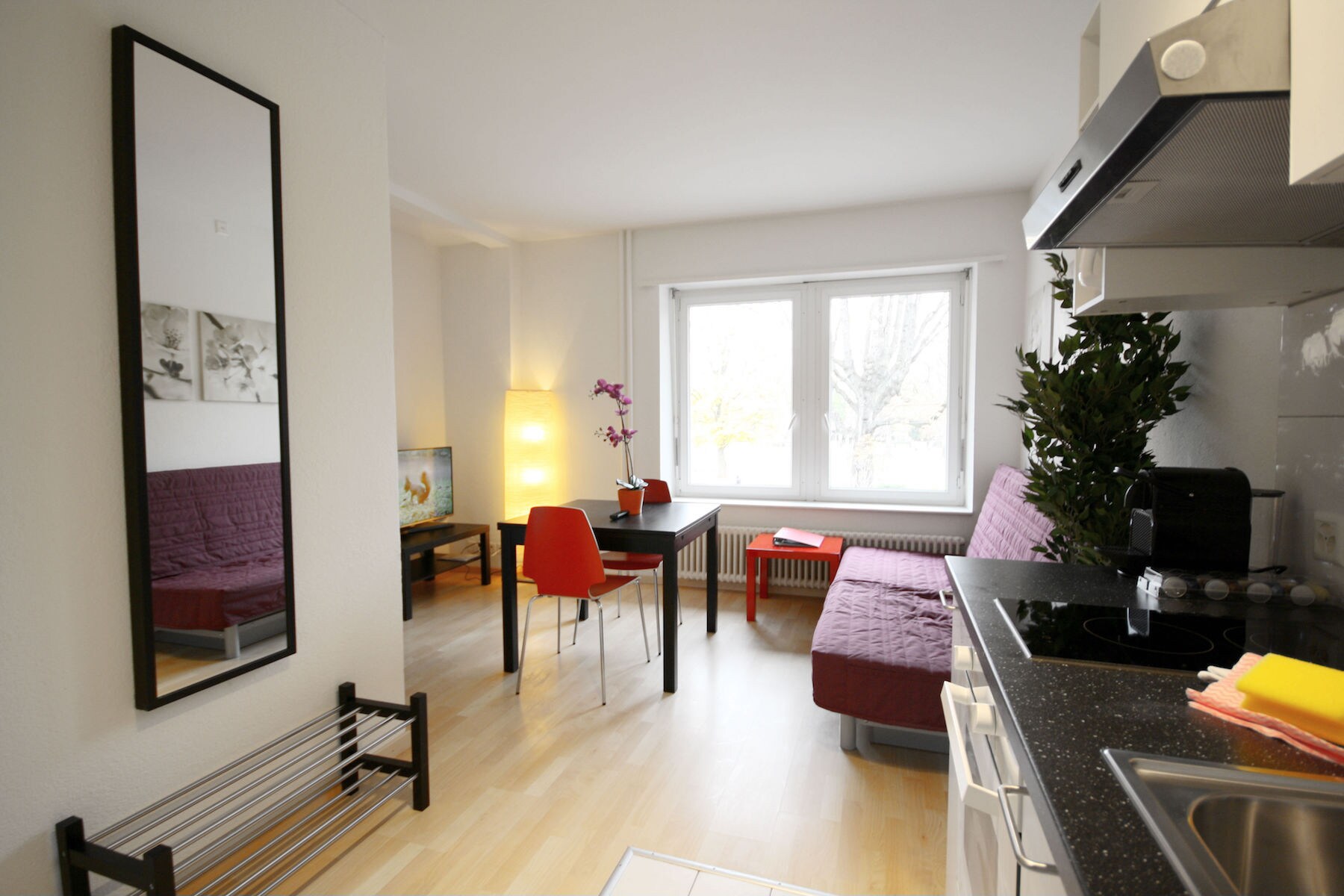 Property Image 1 - ZH DaCosta - Stauffacher Property Manager Apartment