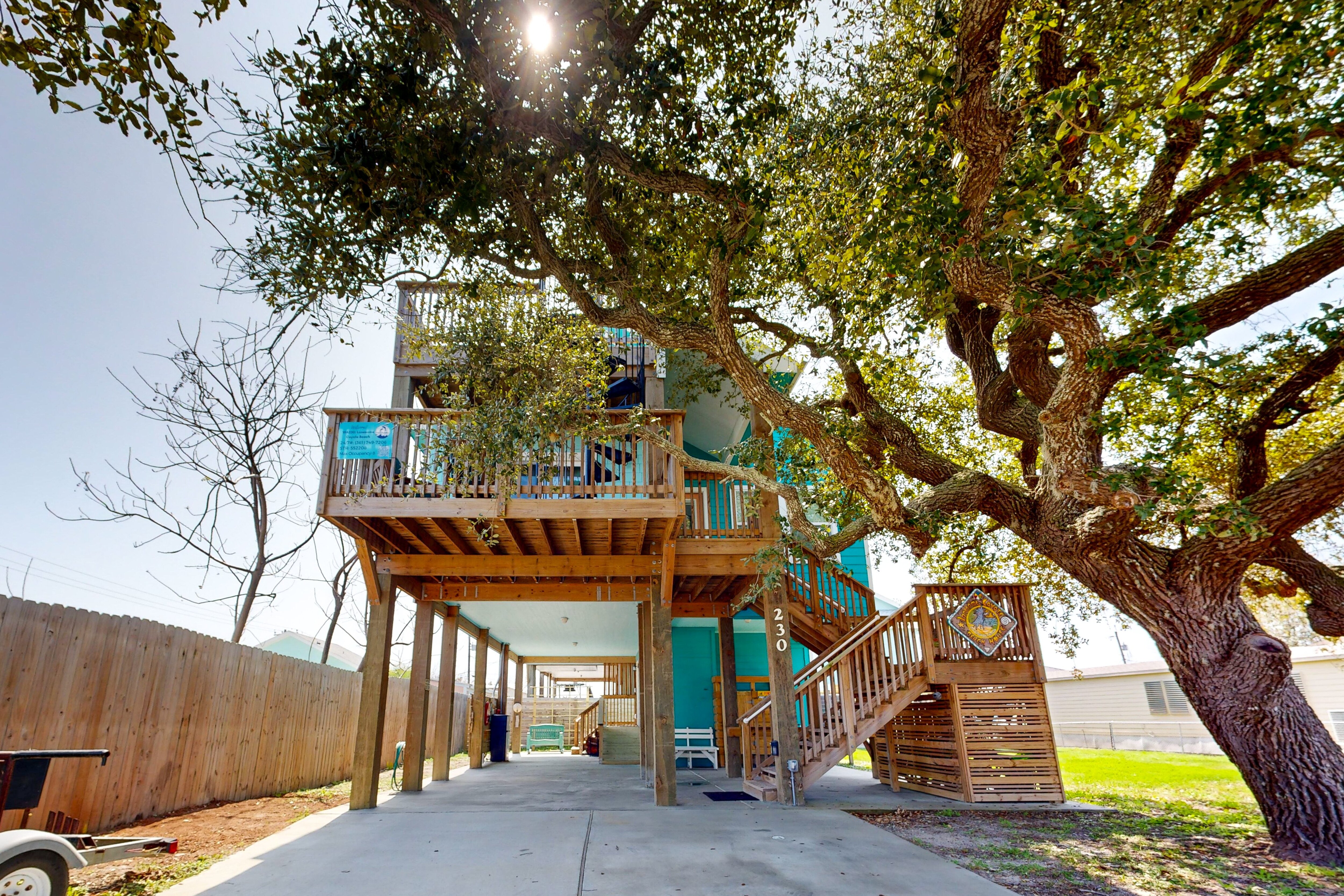 Majestic oak trees provide a private and shady entrance to the property.