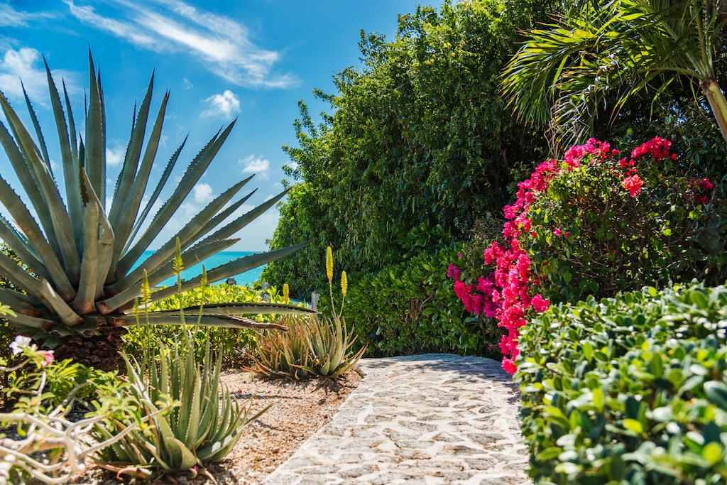 And take a step into paradise