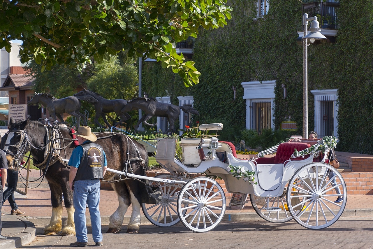 Scottsdale's premium short term getaway, Fully furnished 1 bedroom homes, FREE Golf, cable, utilities, Wi-Fi, parking, pool, and bike trails- Unit 248 Scottsdale's premium short term getaway, Fully furnished 1 bedroom homes, FREE Golf, cable, utilities, Wi-Fi, parking, pool, and bike trails- Unit 248