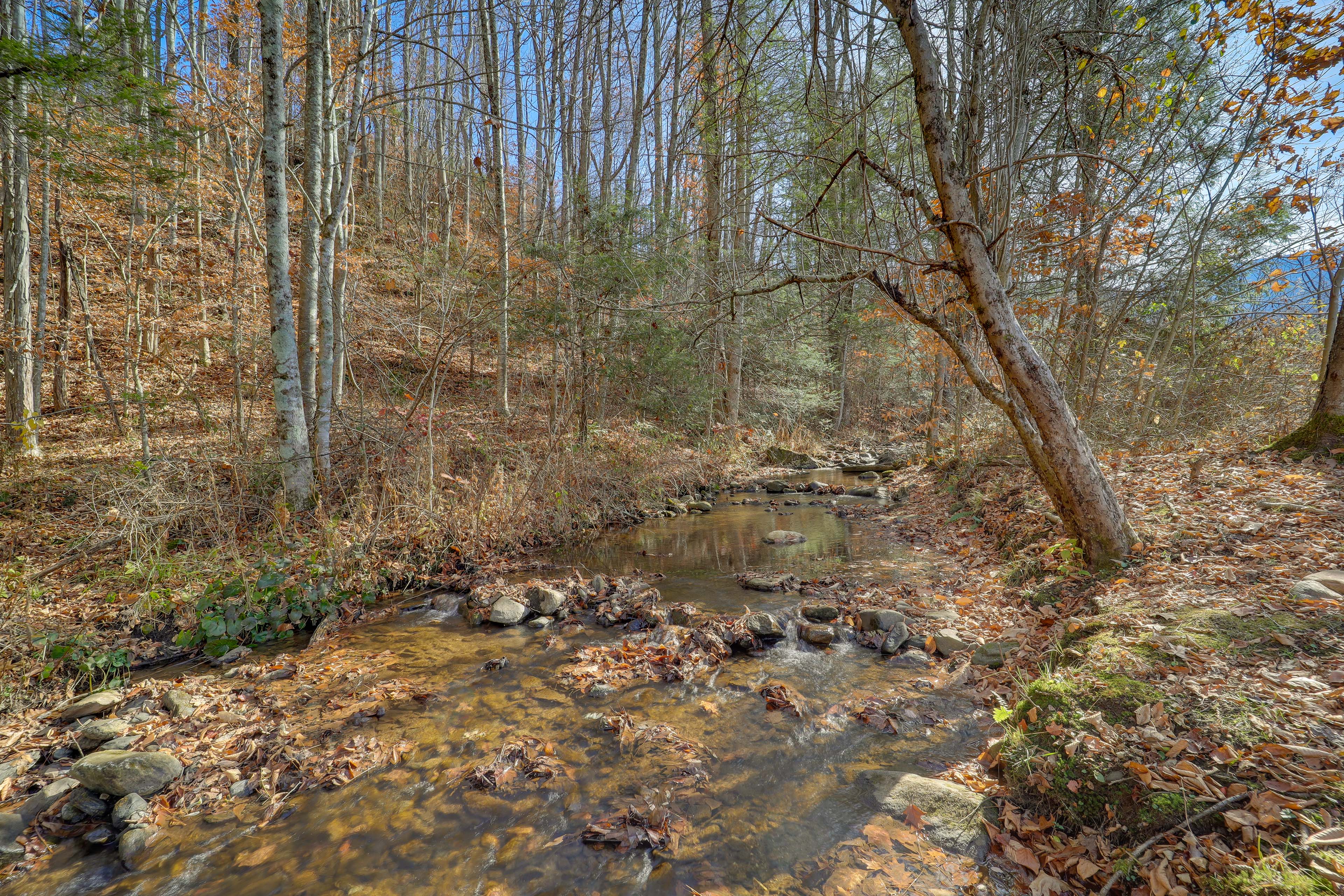 Property Image 2 - Idyllic Blue Ridge Mountain Home on 26-Acre Farm