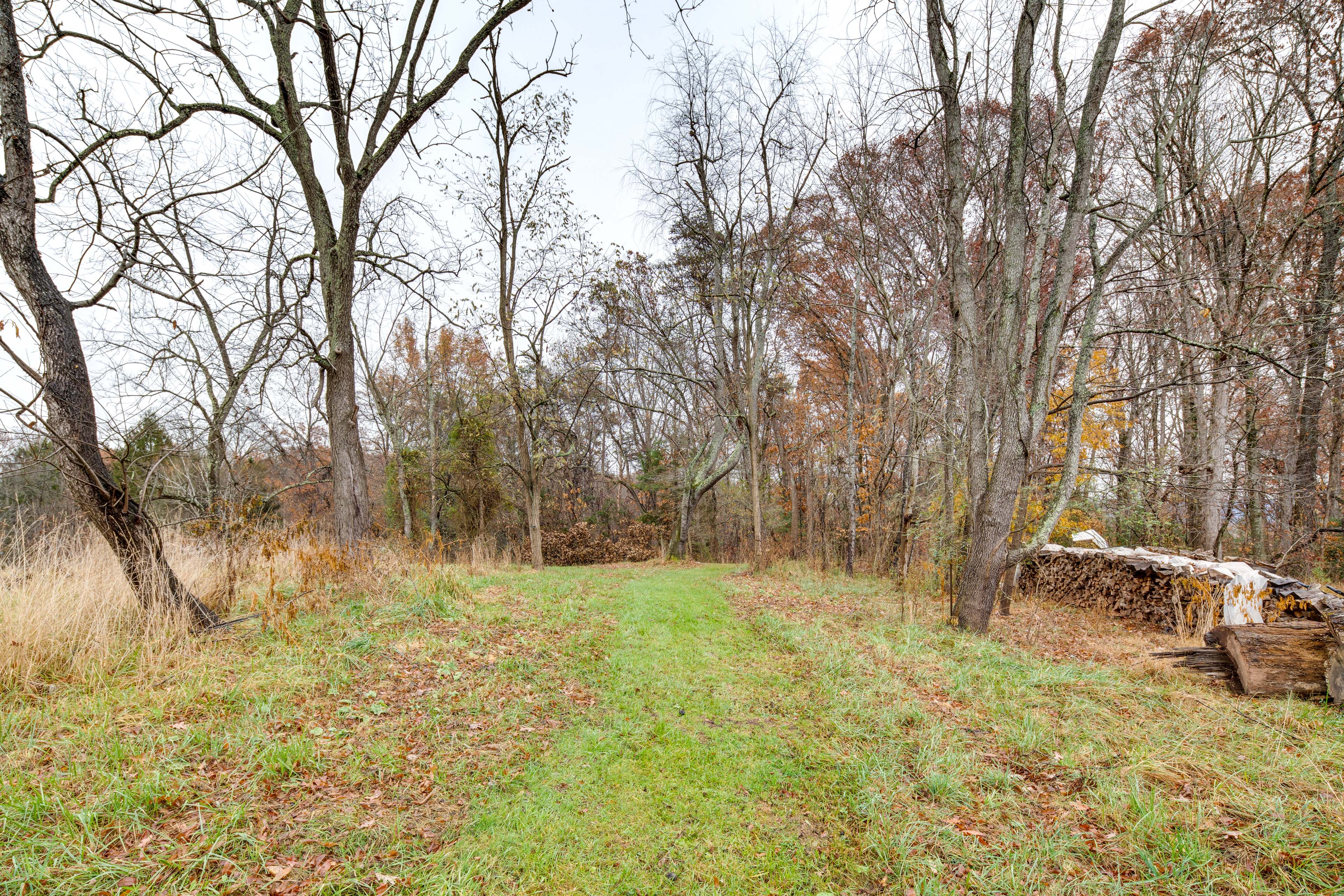 Property Image 2 - Candler Cottage w/ Mountain Views & Deck